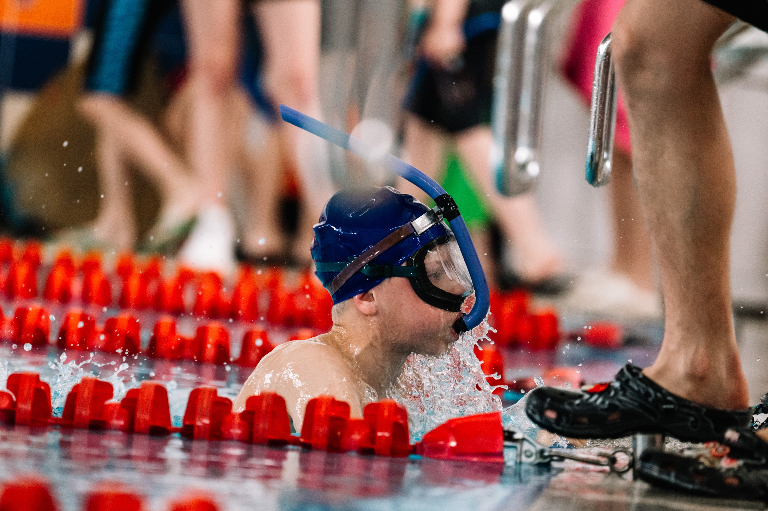Финал кубка плавания ШП Дельфин. Июнь, 2025. Спортивный фотограф в Туле и Тульской области. Файсханова Фото Спорт