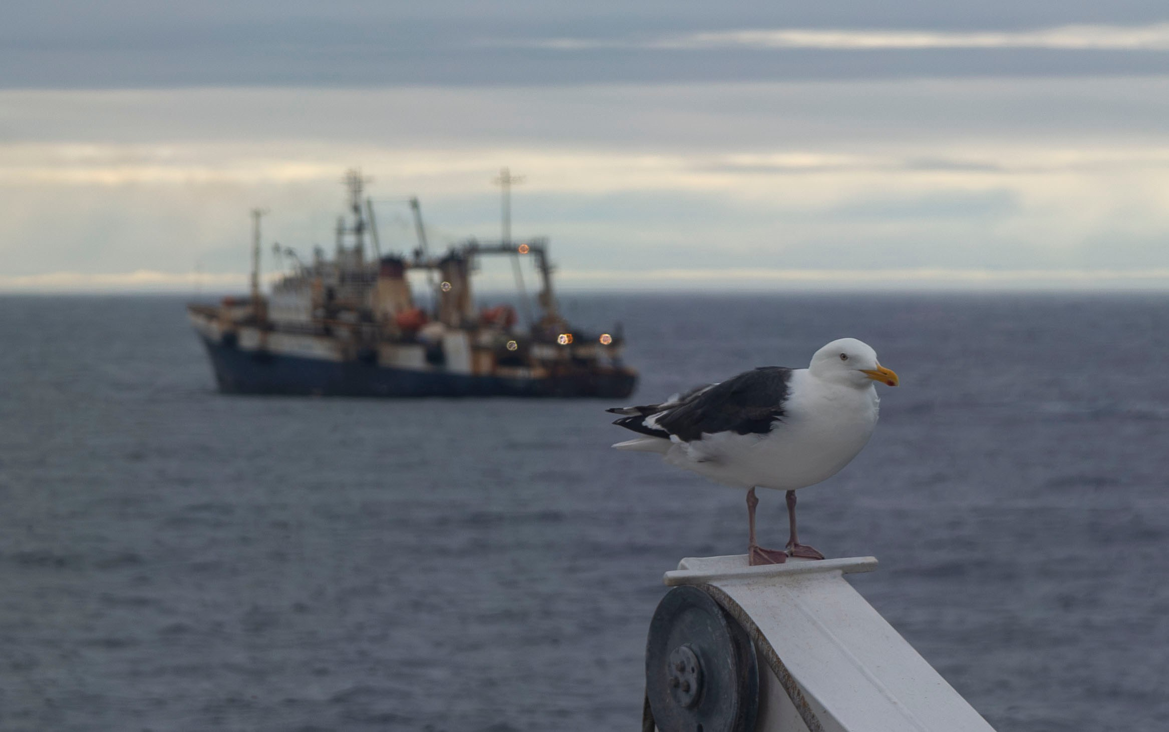 Когда я в море. Часть 2. Фотограф г. Владивосток