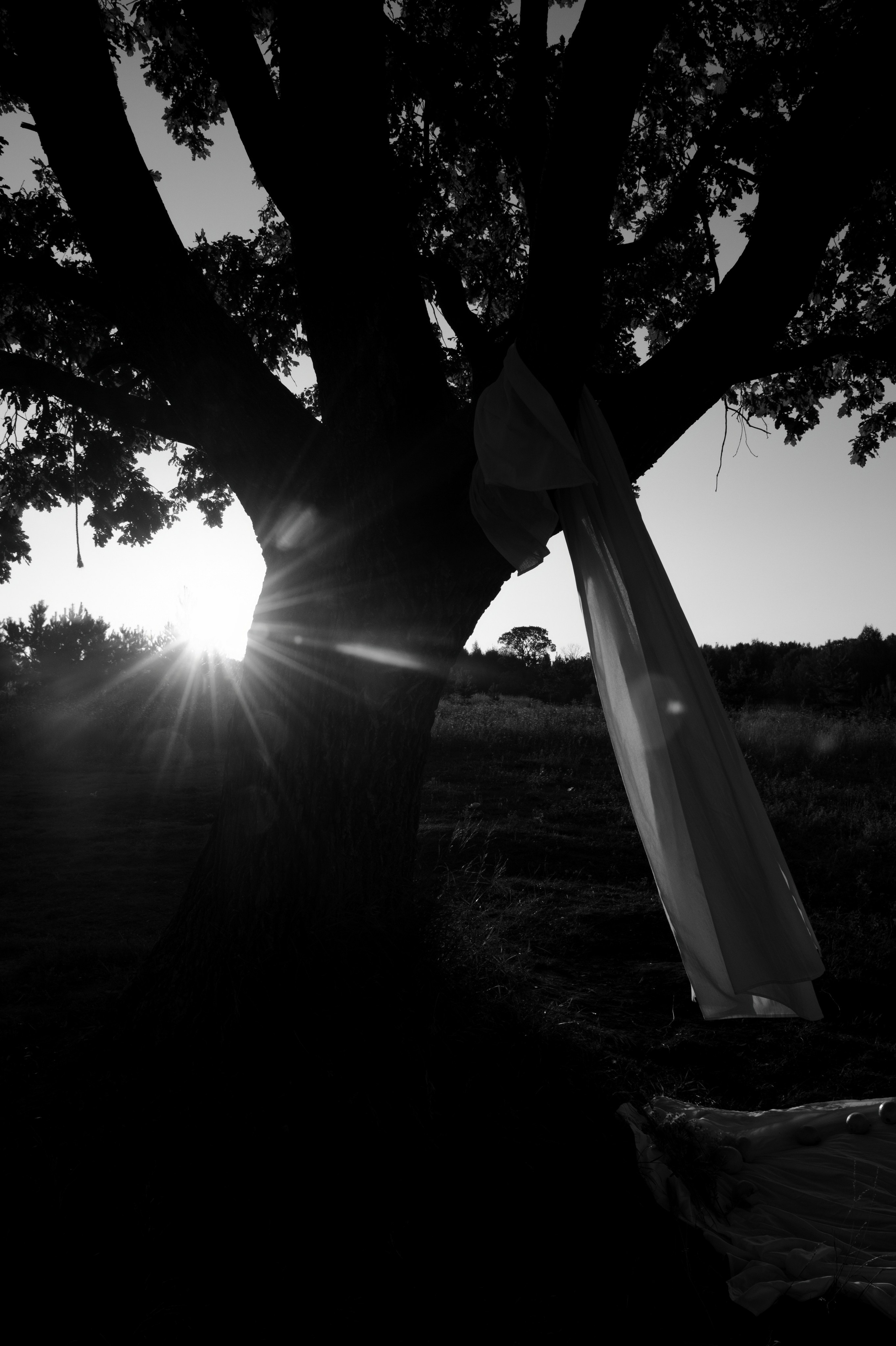 AL`BINA. Свадебный и портретный фотограф в Казани