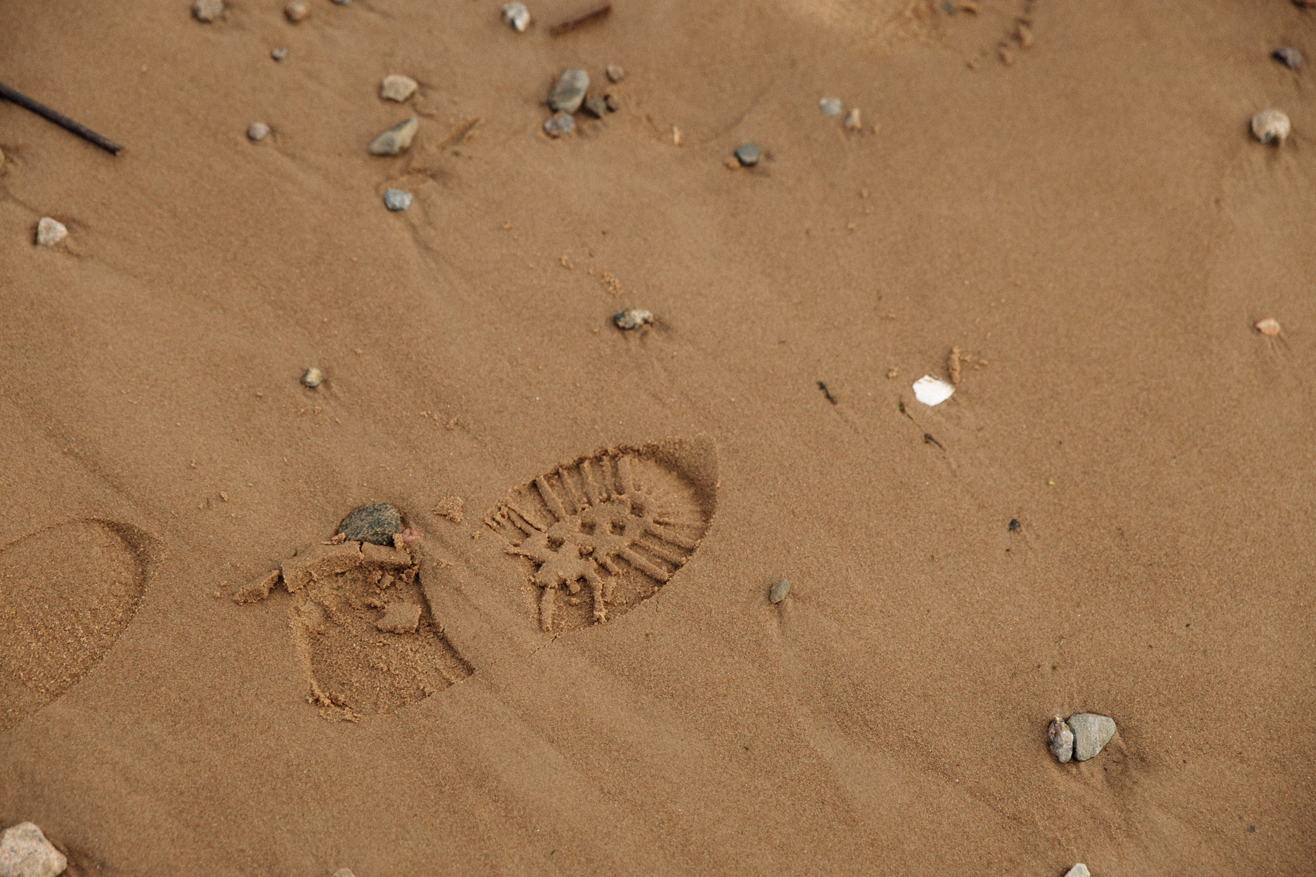 S E A. Главная