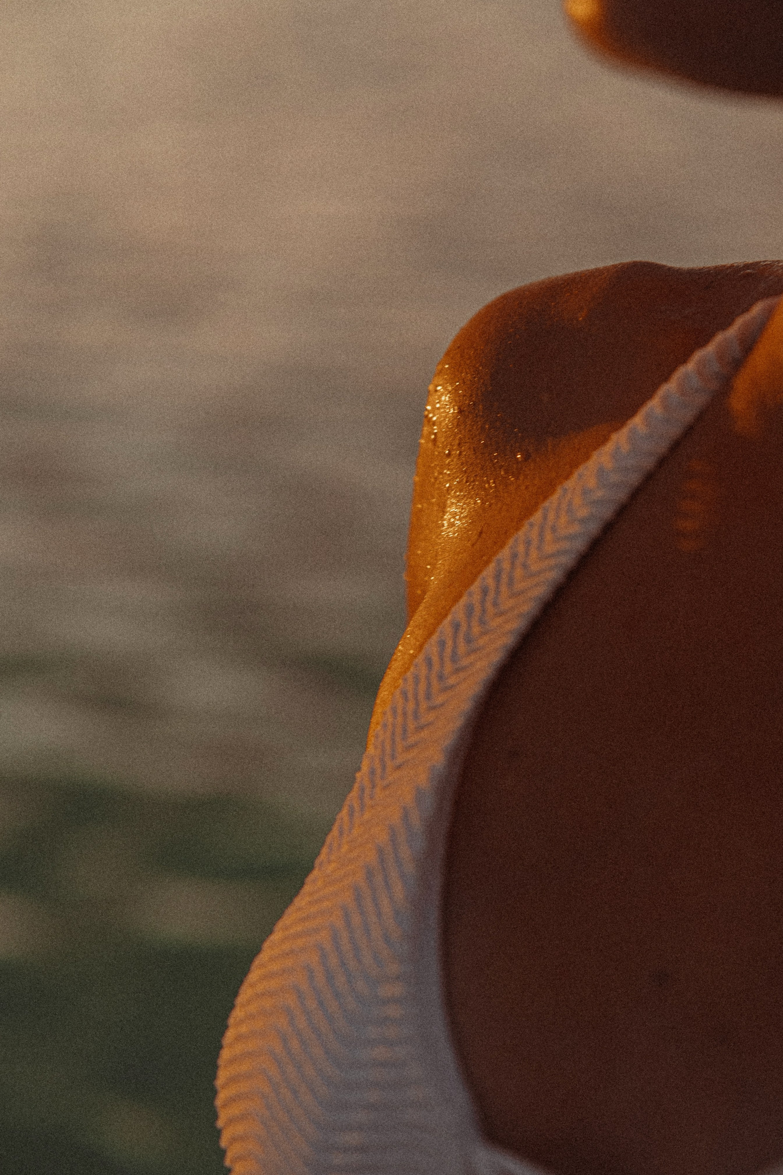 Мальдивы. Фотограф Мария Зайчик