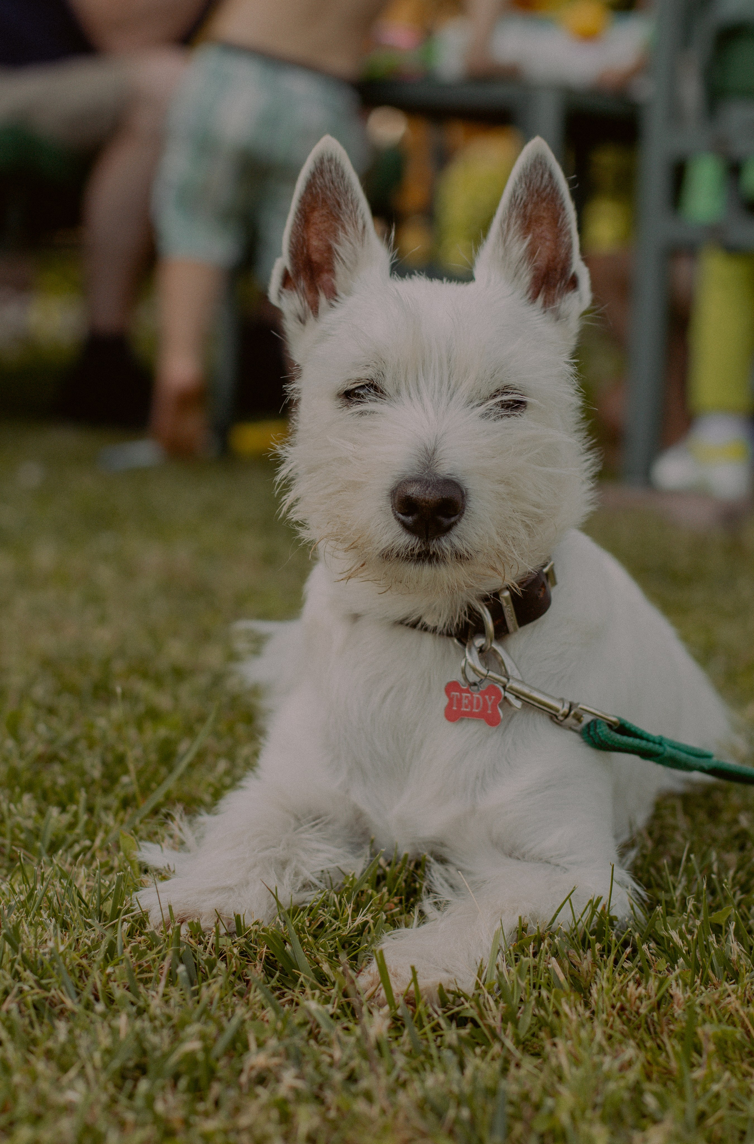 Семейный день. Пирогова Полина, семейный и детский фотограф Москва, Видное