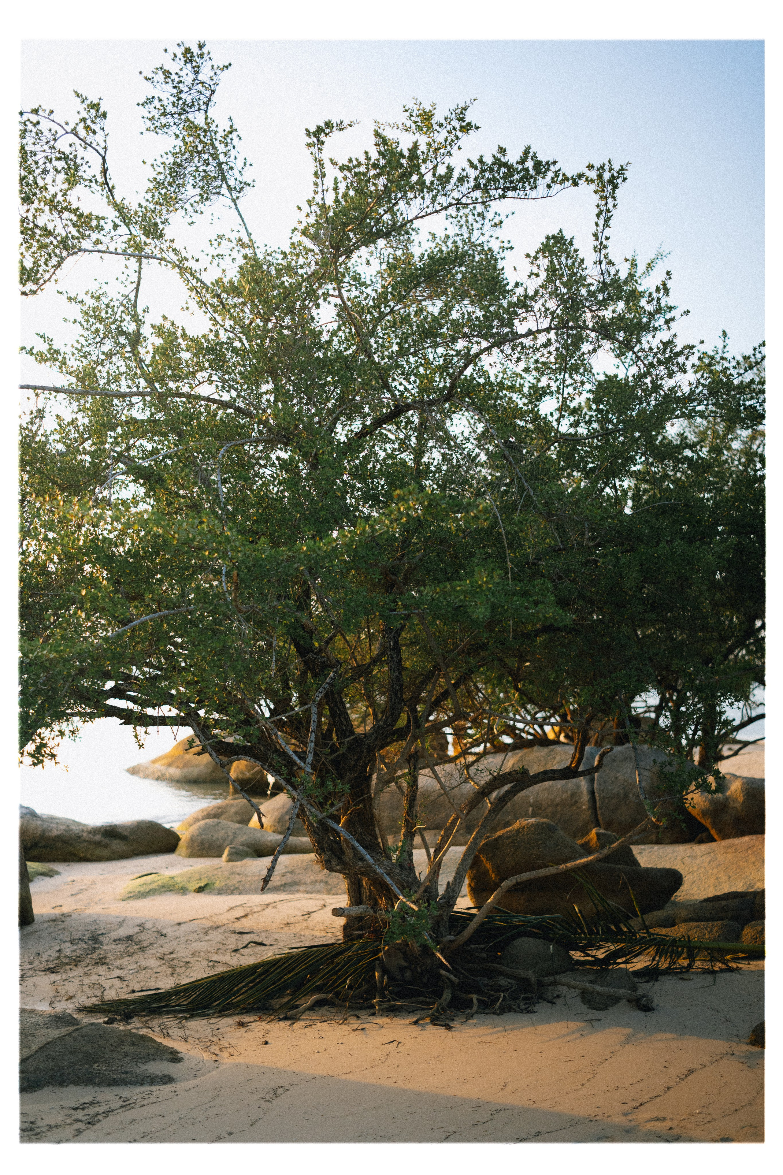 PAHNGAN 26. Свадебный и семейный фотограф Никита Корохов