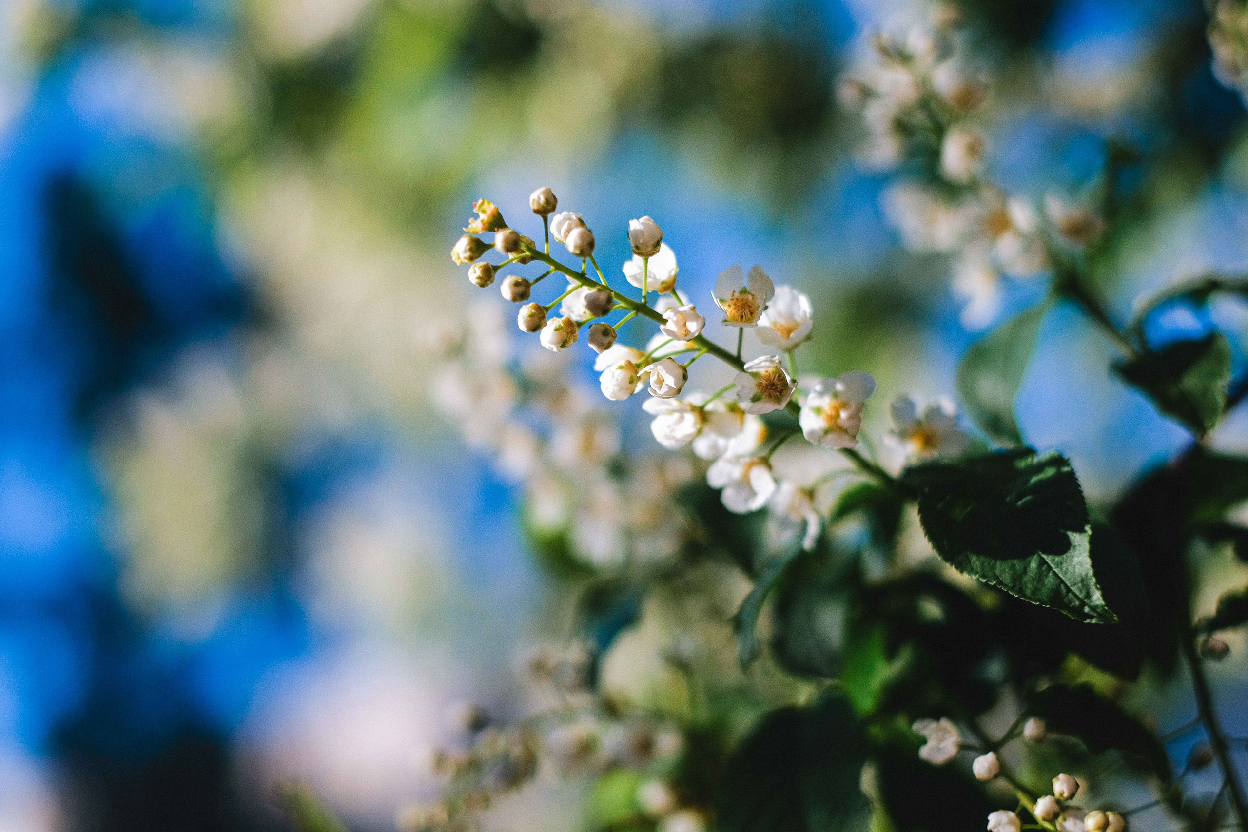 2022.05. Фотограф Алексей Алексеев