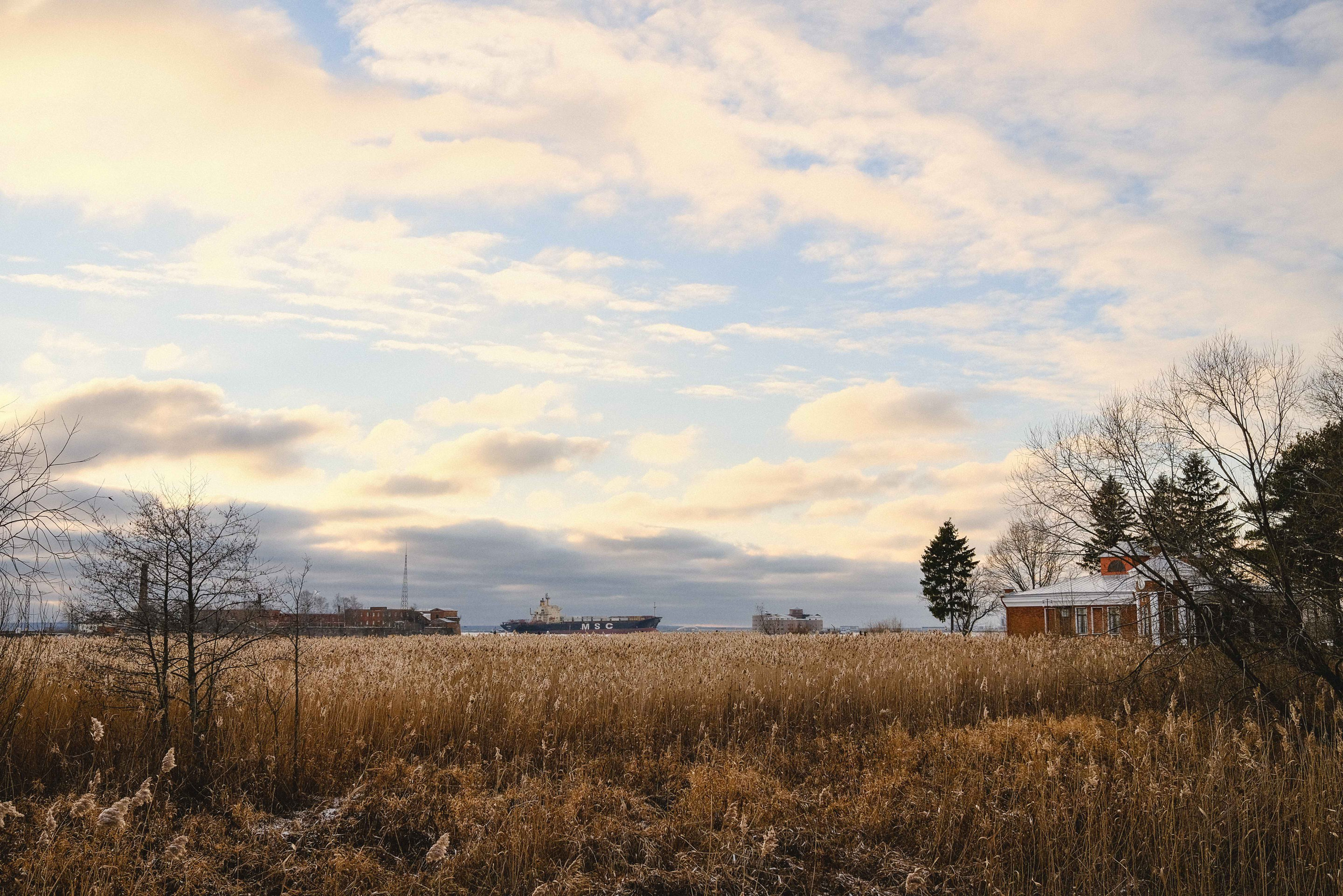2022.11. Фотограф Алексей Алексеев