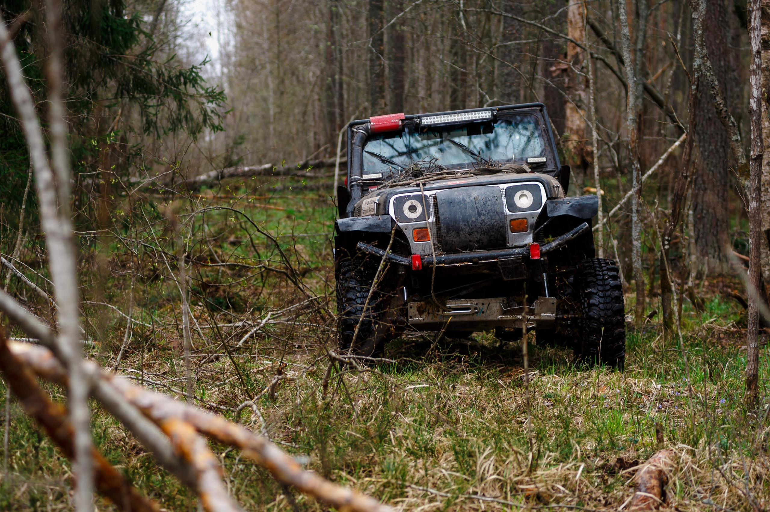 Ленинград-трофи 2024 — день 2. Фотограф Алексей Алексеев