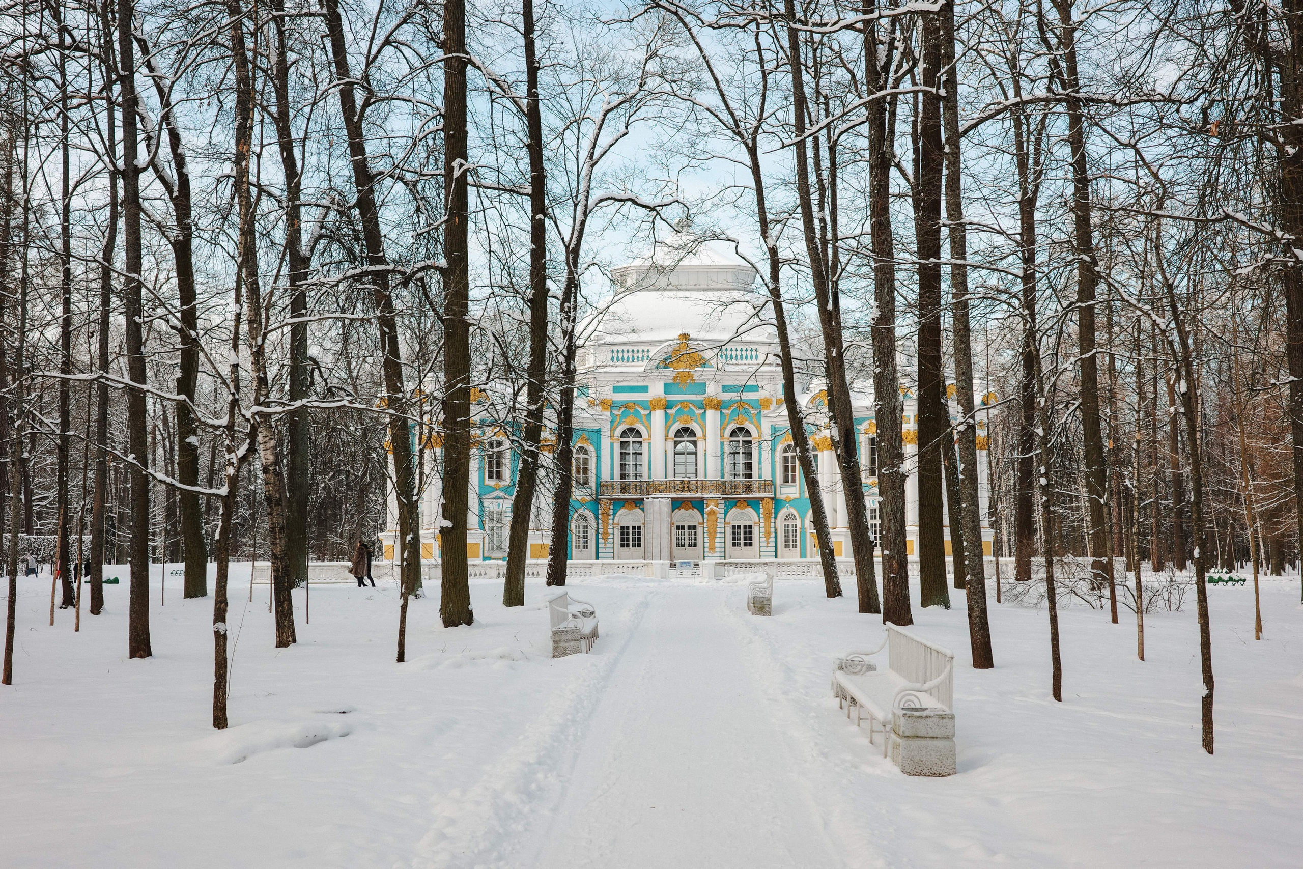 2025.02. Фотограф Алексей Алексеев