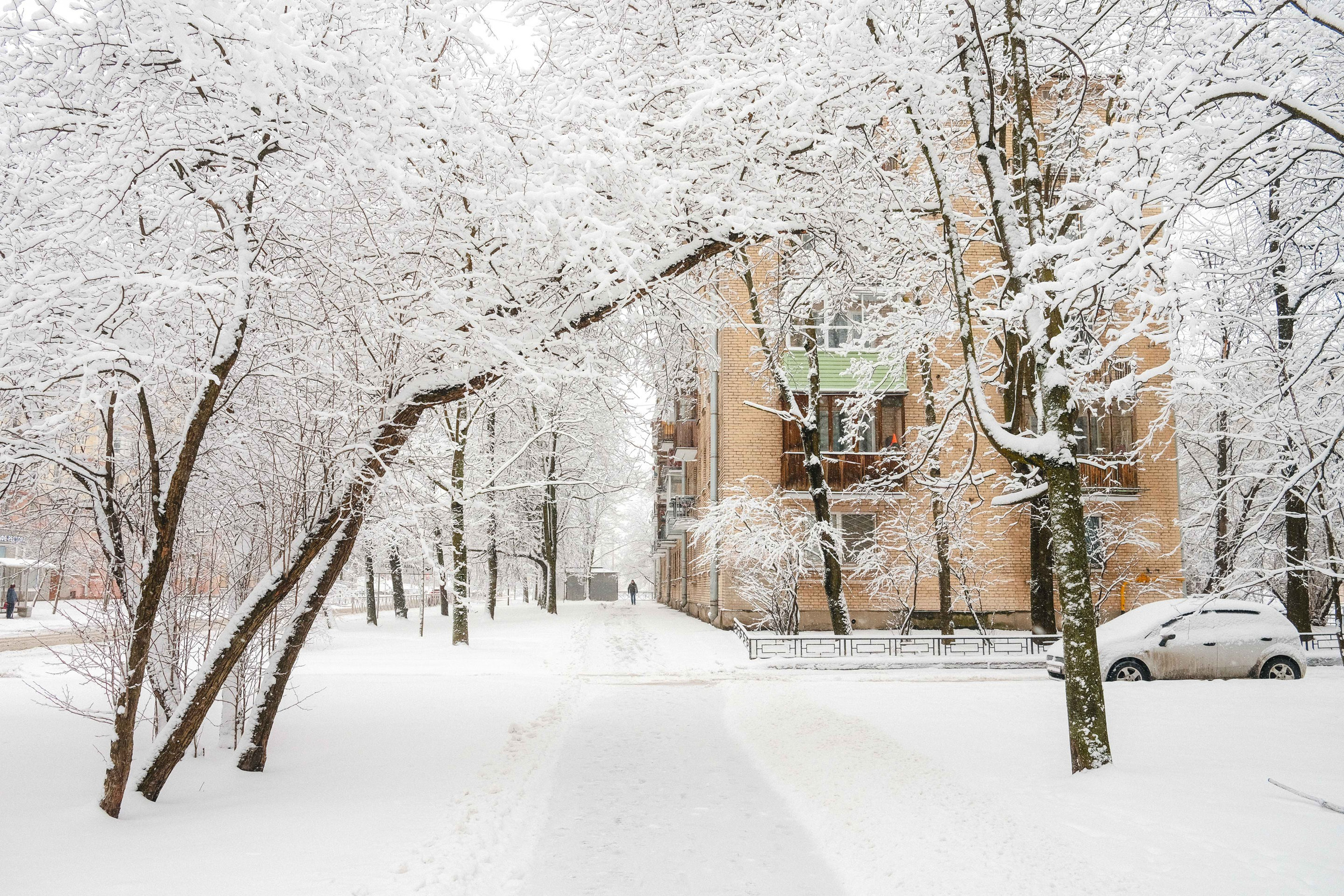 2023.03. Фотограф Алексей Алексеев