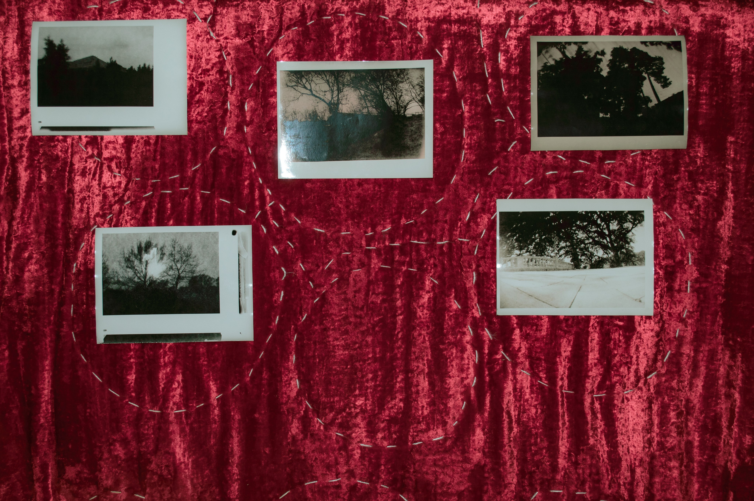 Фото-альтернатива. Данил Андреев, мультидисциплинарный художник, Санкт-Петербург