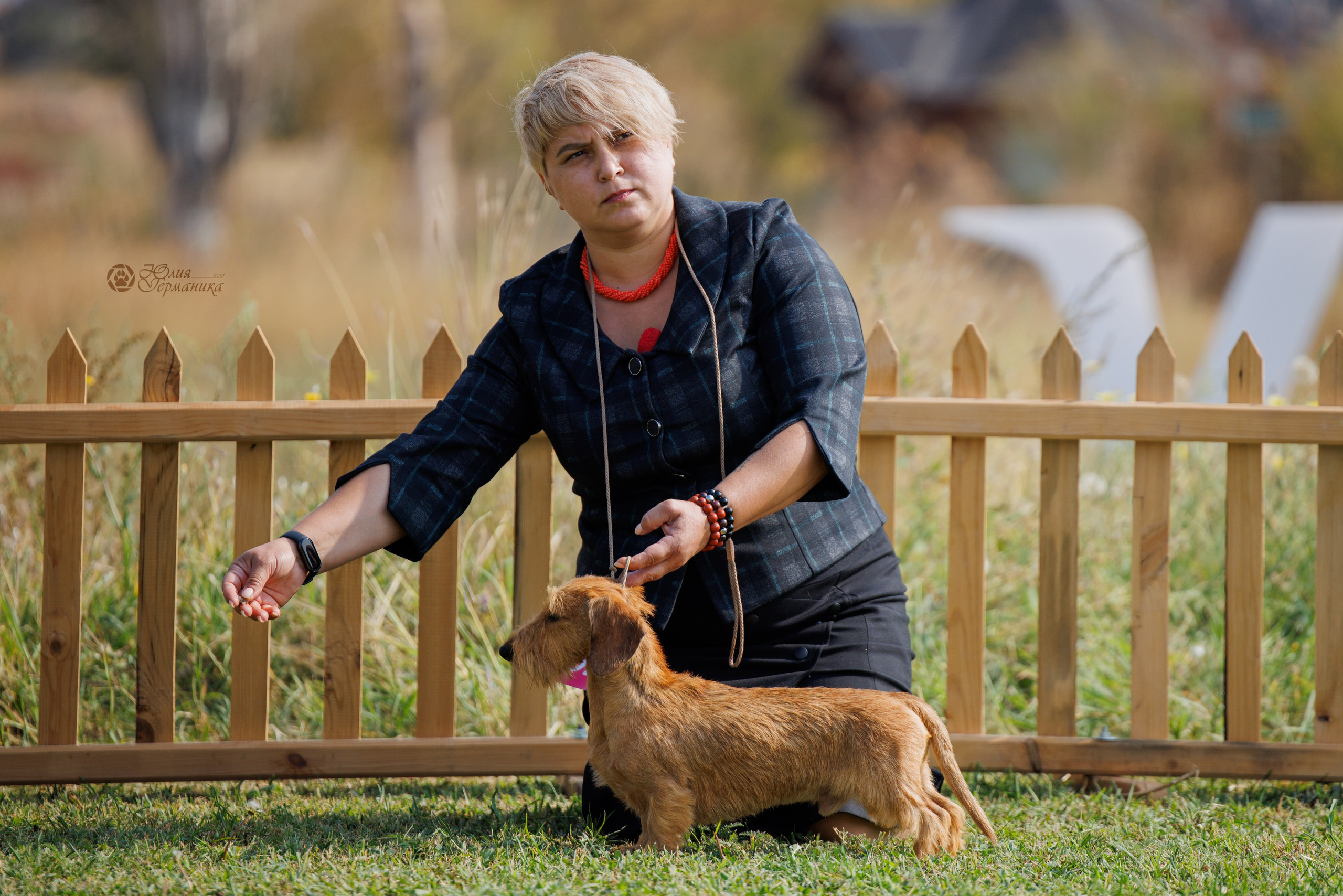 Армения,Ереван 3хCACIB 15-17.10.2024. Фотограф-анималист Юлия Германика