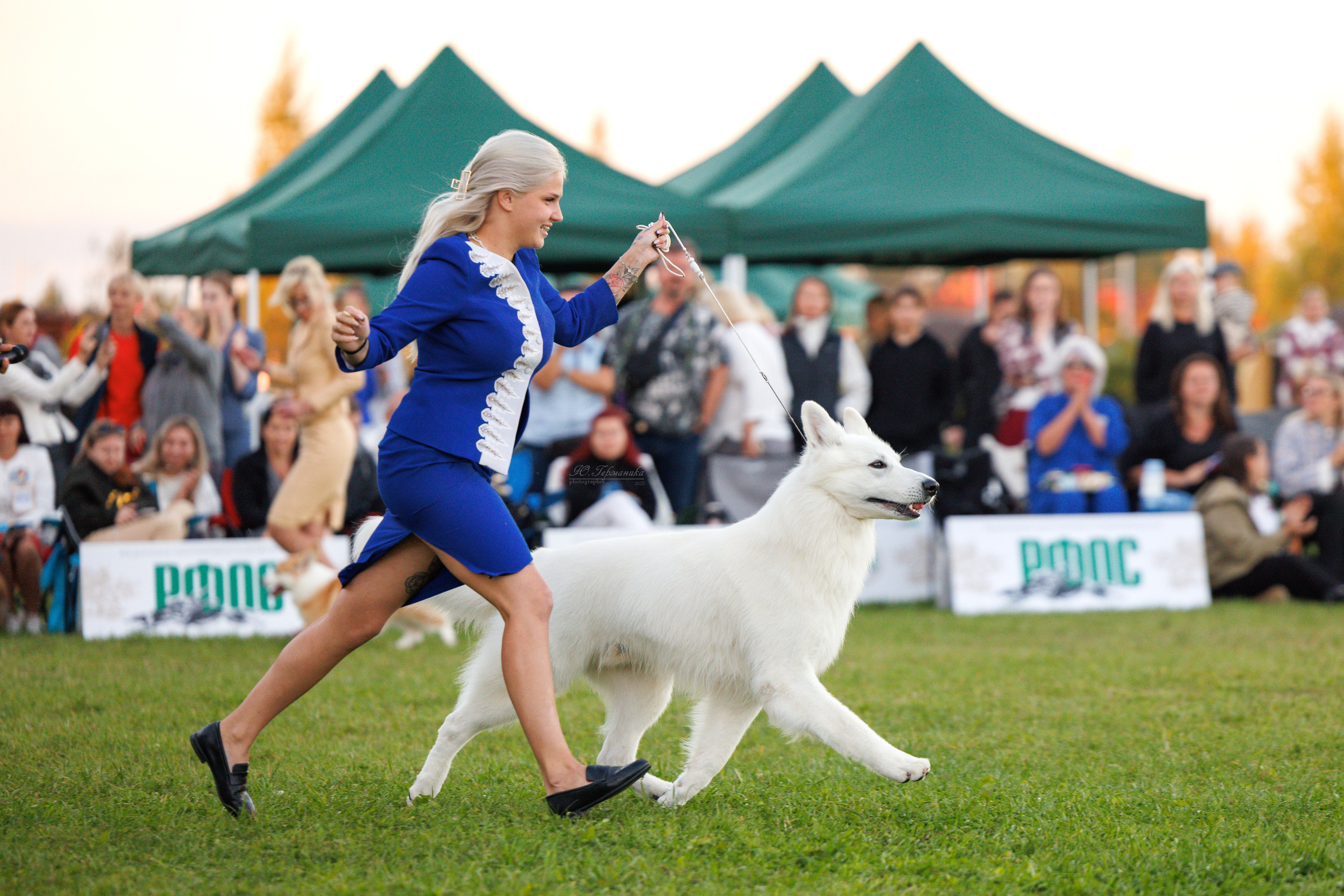 Переславль 5-7.08.2025. Фотограф-анималист Юлия Германика