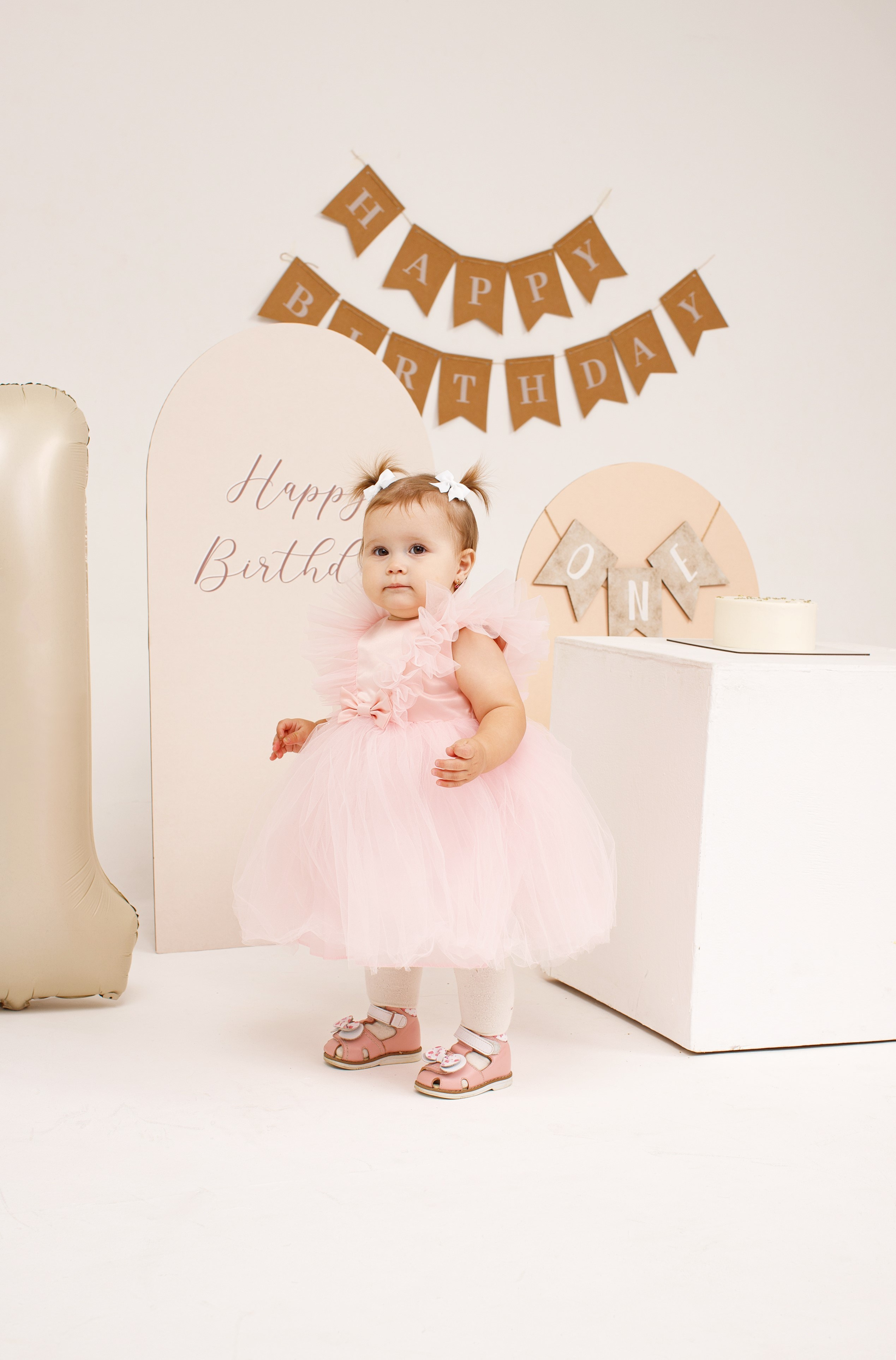 День рождения. Фотосессия беременности & материнства Коломна