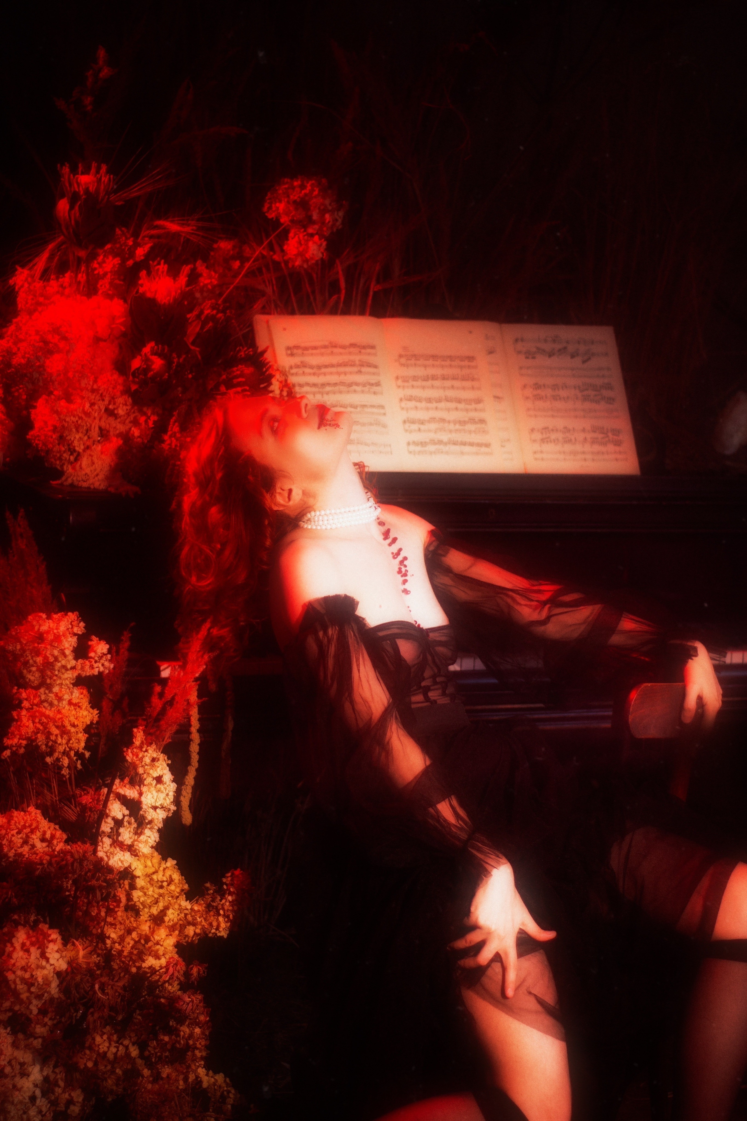 Noblesse vampire (Original), Санкт-Петербург 2024. Фотограф NotSilver