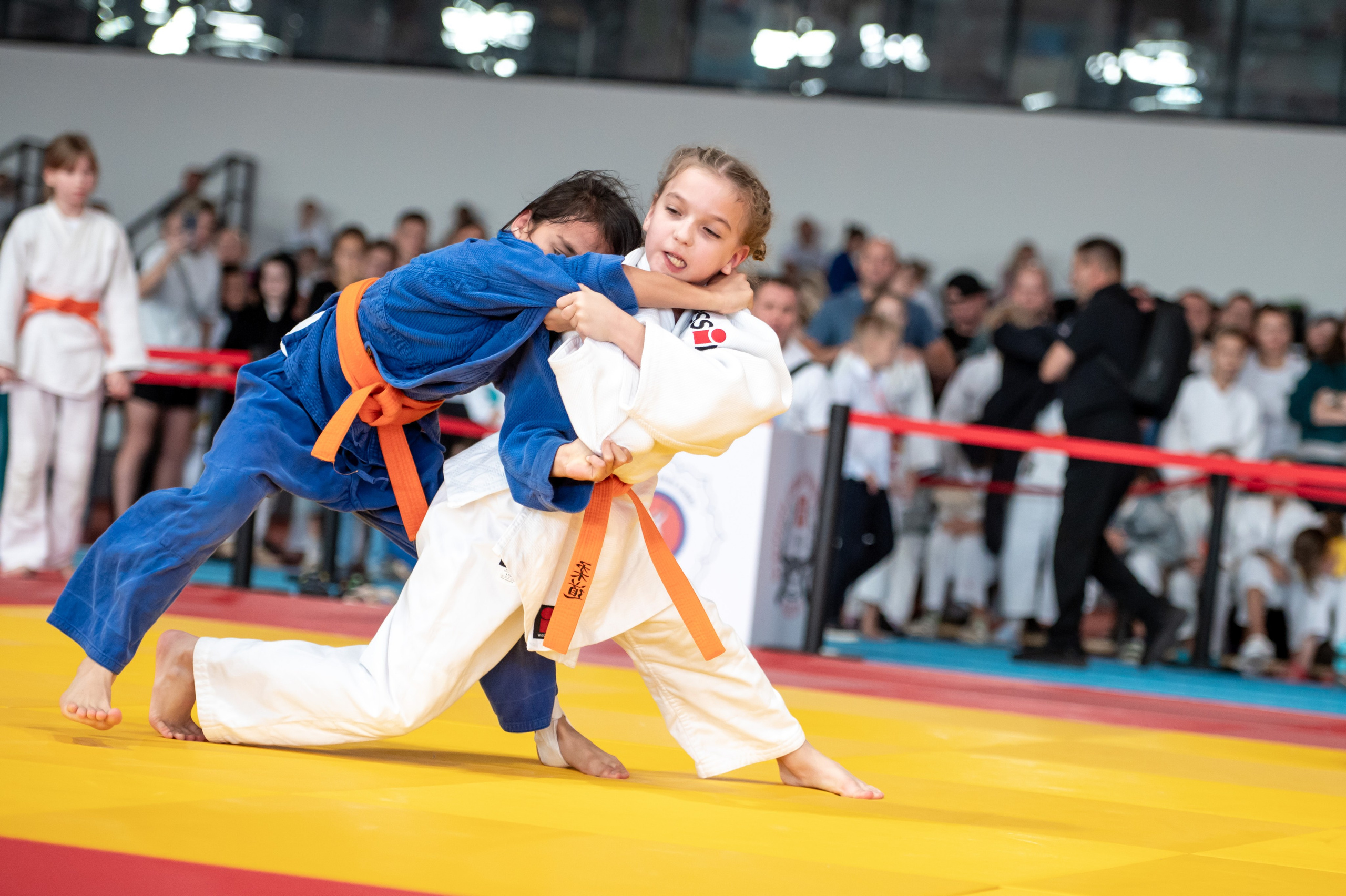 Турнир по дзюдо «Тульский левша», сентябрь 2024. Спортивный фотограф в Туле и Тульской области. Файсханова Фото Спорт