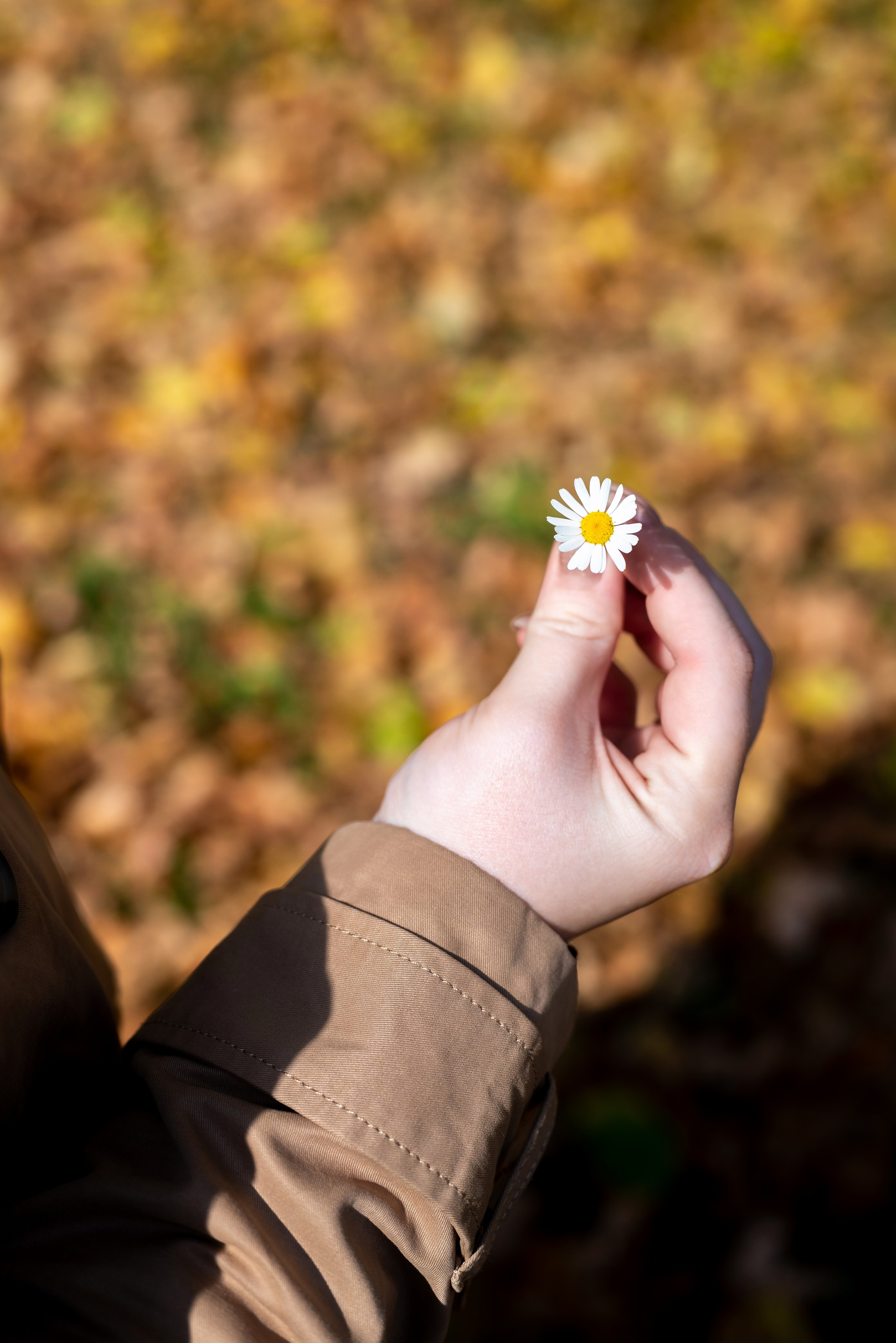 Эдуард и Ирина. Фотограф в городе Салават