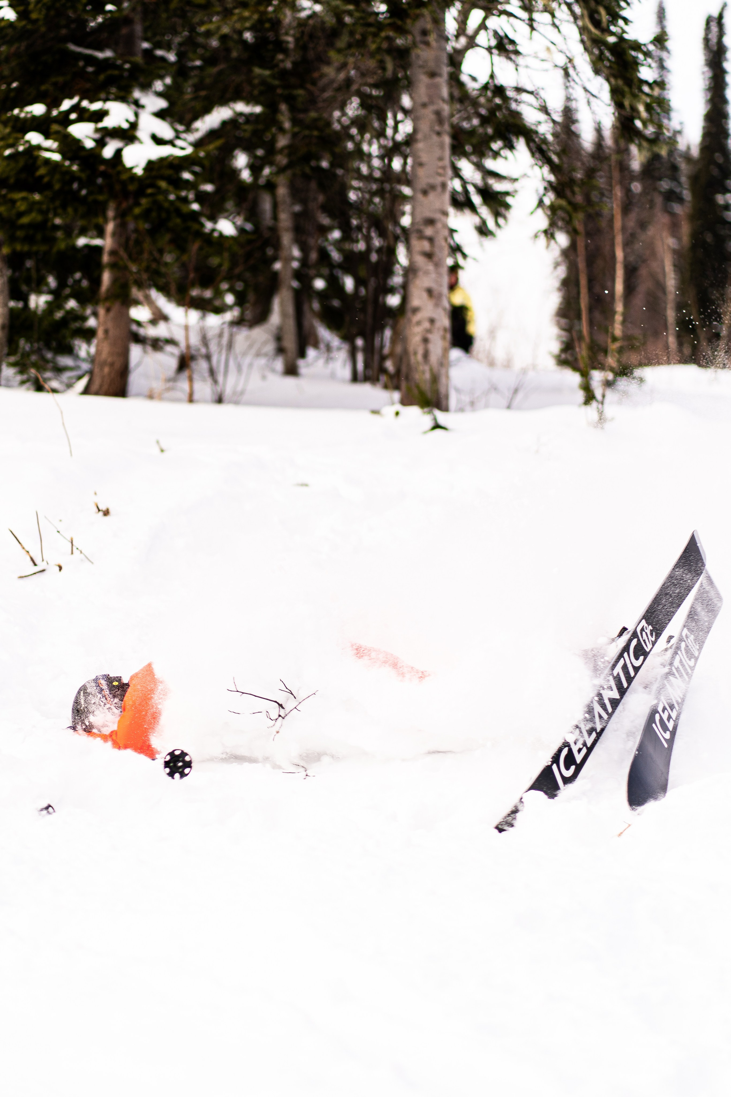 Джой 13.12. Анастасия Паршукова — фотограф Шерегеш Новосибирск