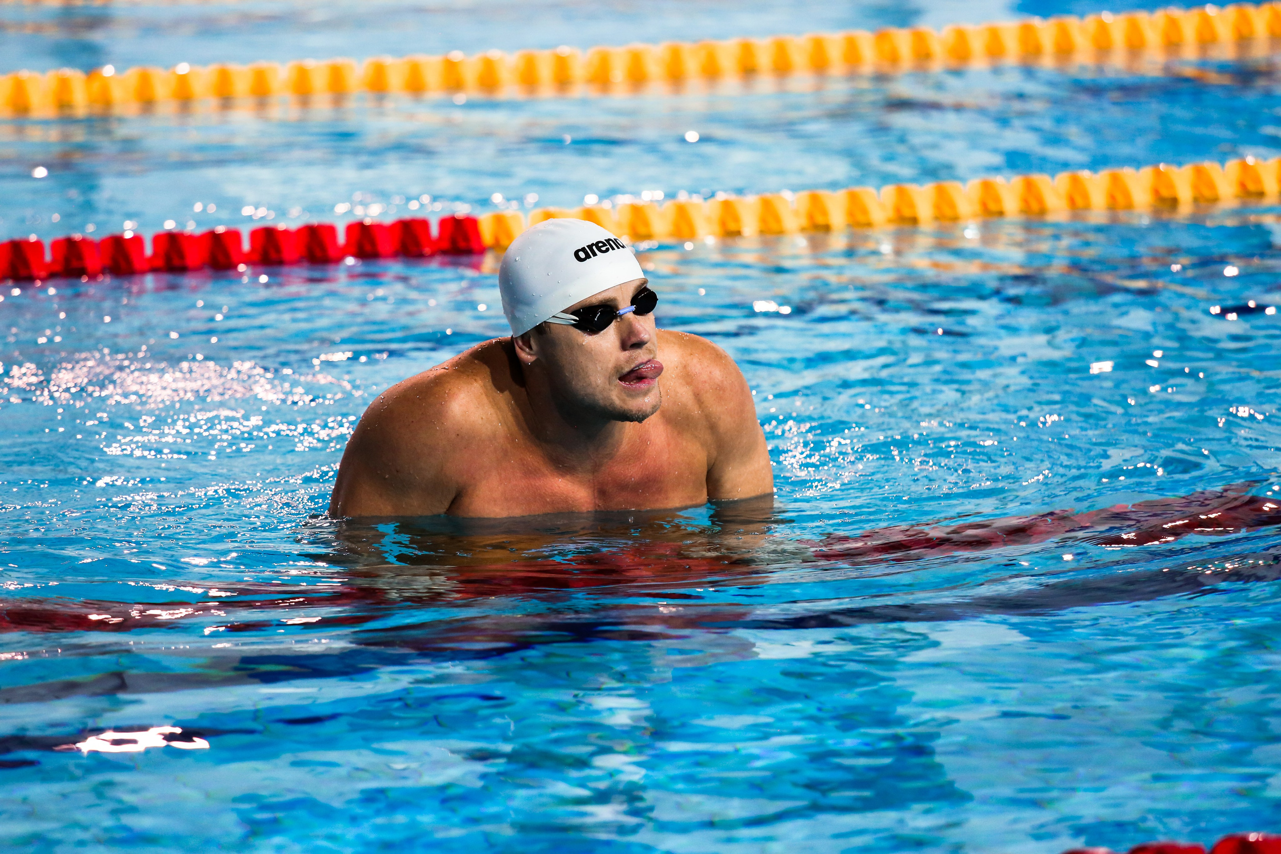 Соревнования по плаванию. Репортажный, семейный, свадебный, портретный фотограф