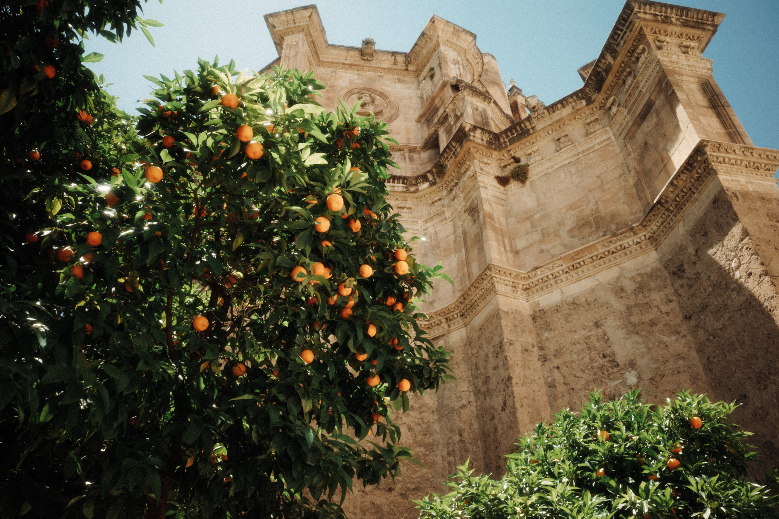 Испания плёнка. Свадебный фотограф в Спб Сергей Баланян