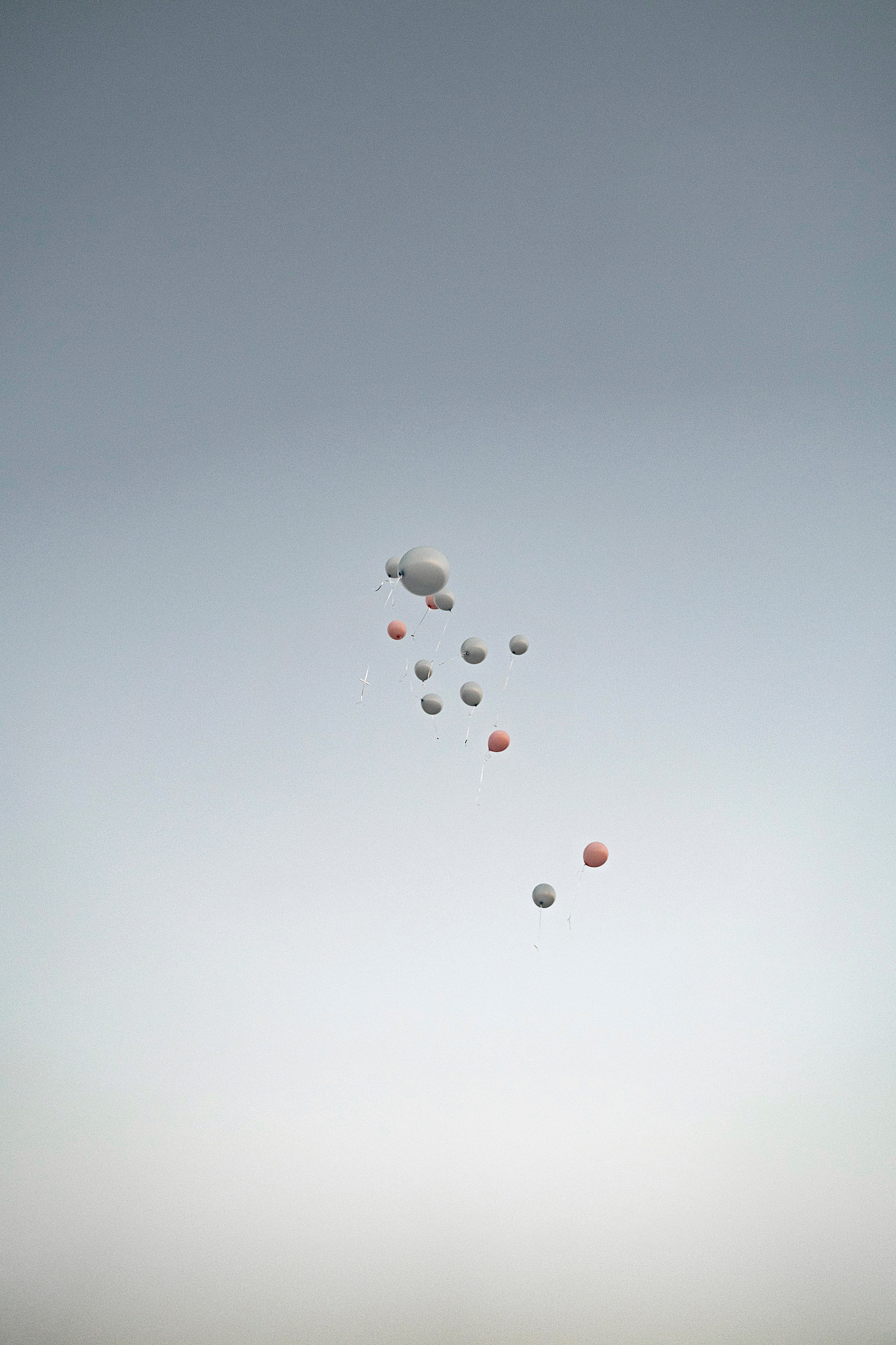 Гендер пати. Фотограф Казань