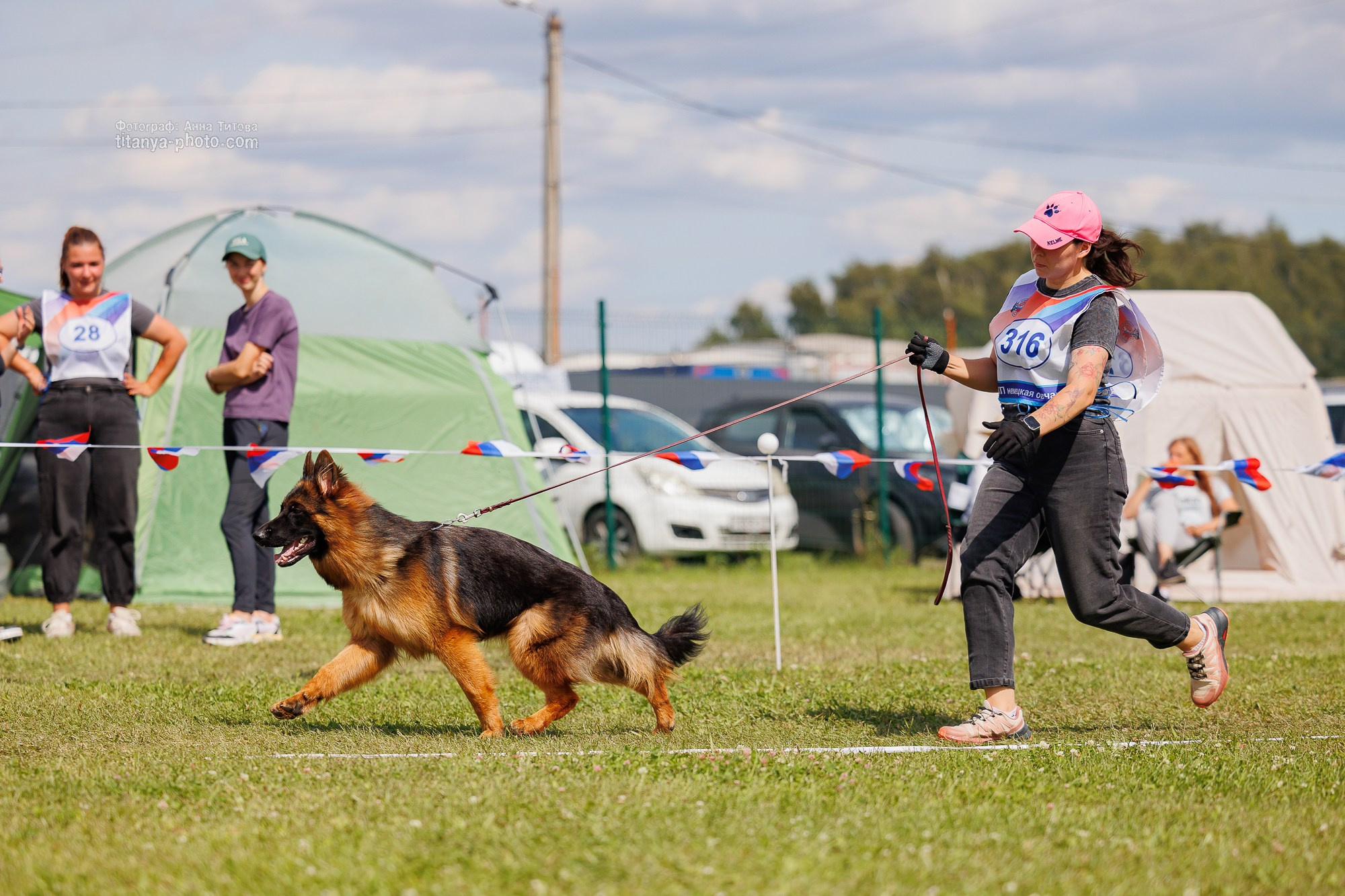 Немецкие овчарки: фото из рингов и вне ринга, мутпроба (фотографии с выставок). Фотограф собак, фотограф-анималист Аня Титова (Titanya). Москва