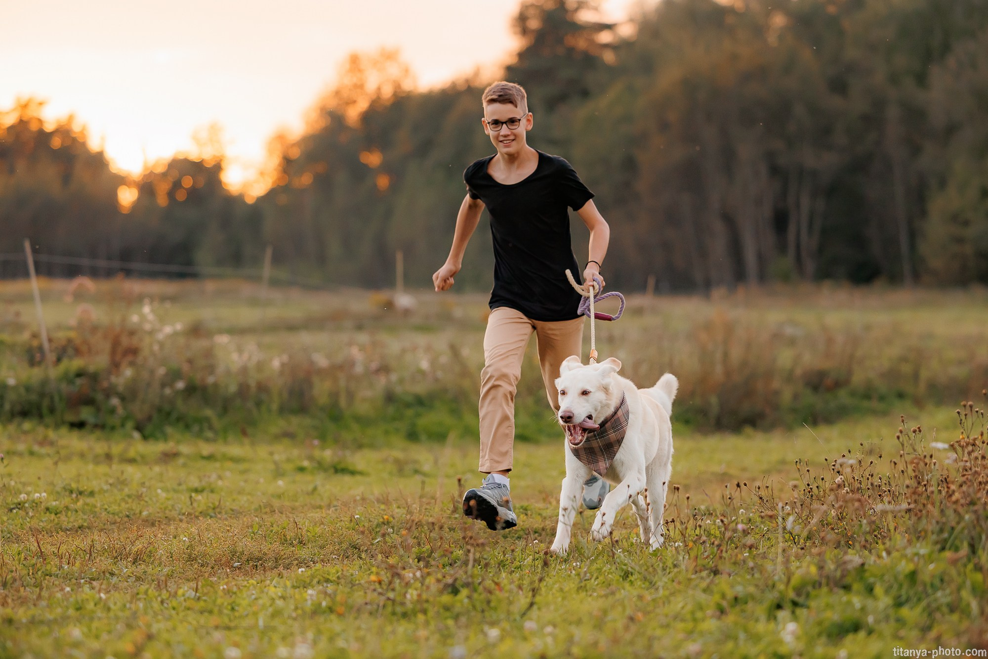 Закатная семейная фотосессия: про Настю и её дружную семью. Фотограф собак, фотограф-анималист Аня Титова (Titanya). Москва