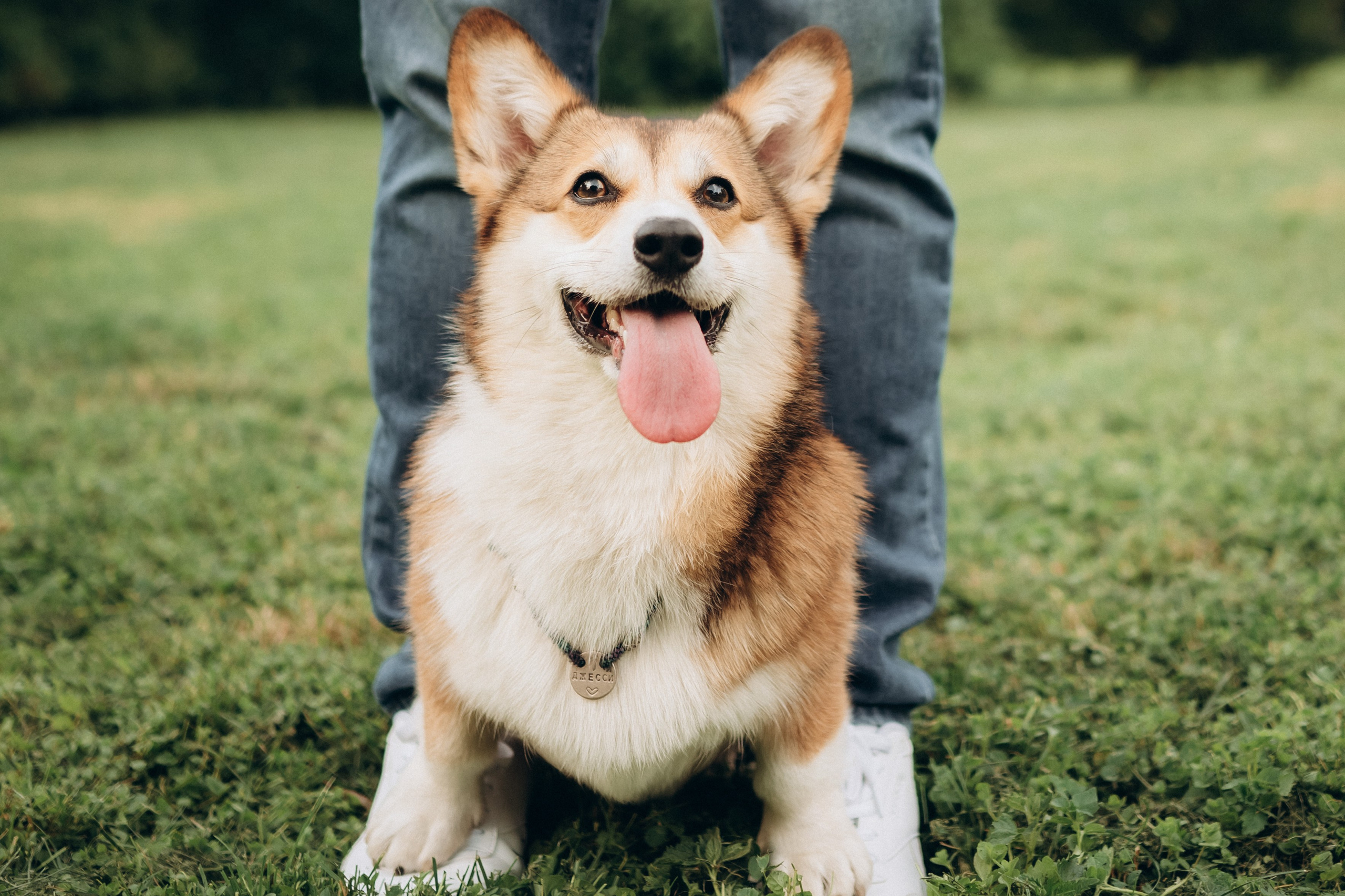 Прогулка в Ботаническом саду. Кристина Ветрова | ФОТОГРАФ | Москва