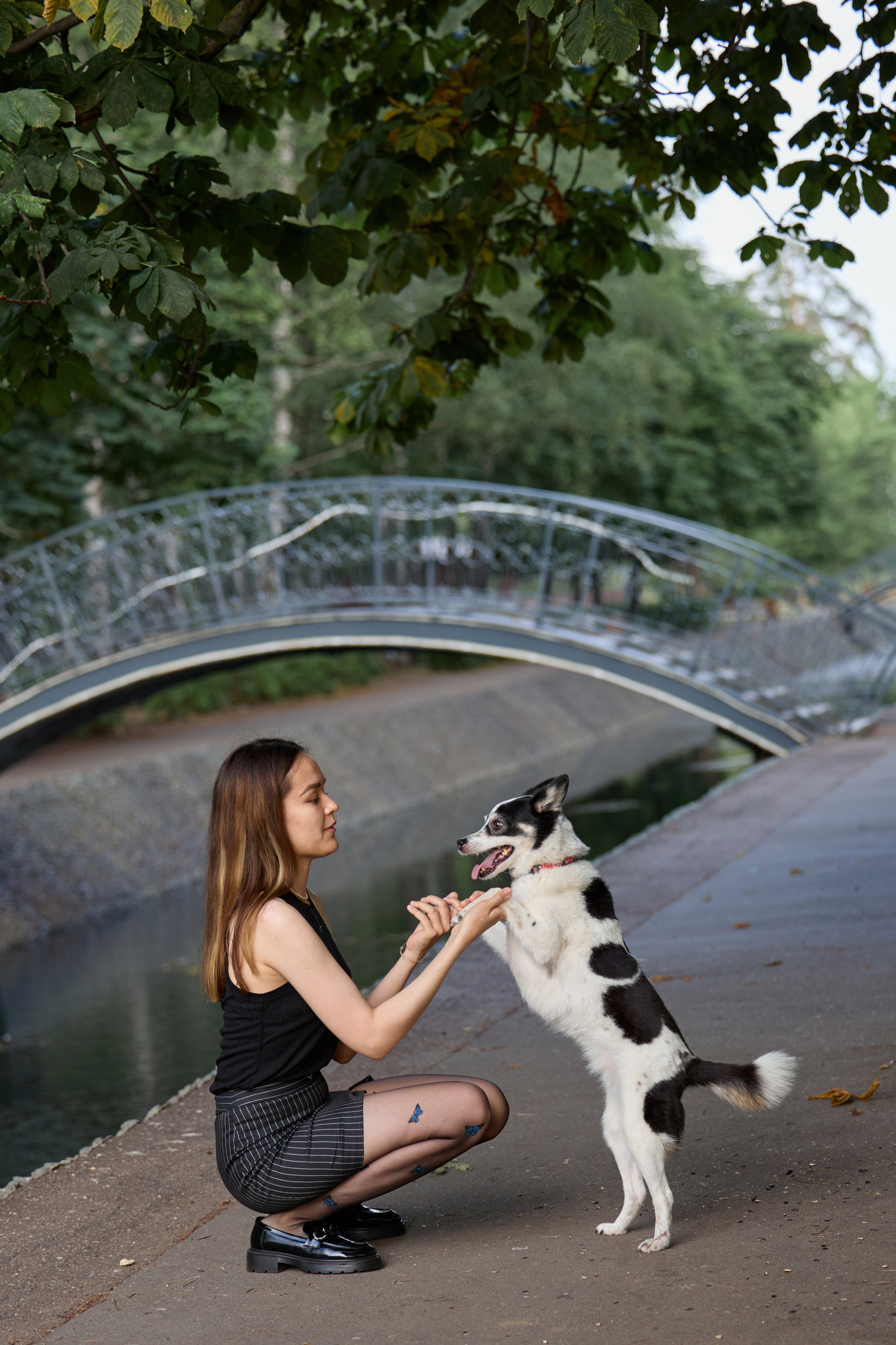 Диана и Рея. Фотограф анималист в Казани Алина Сулейманова. Фотограф животных