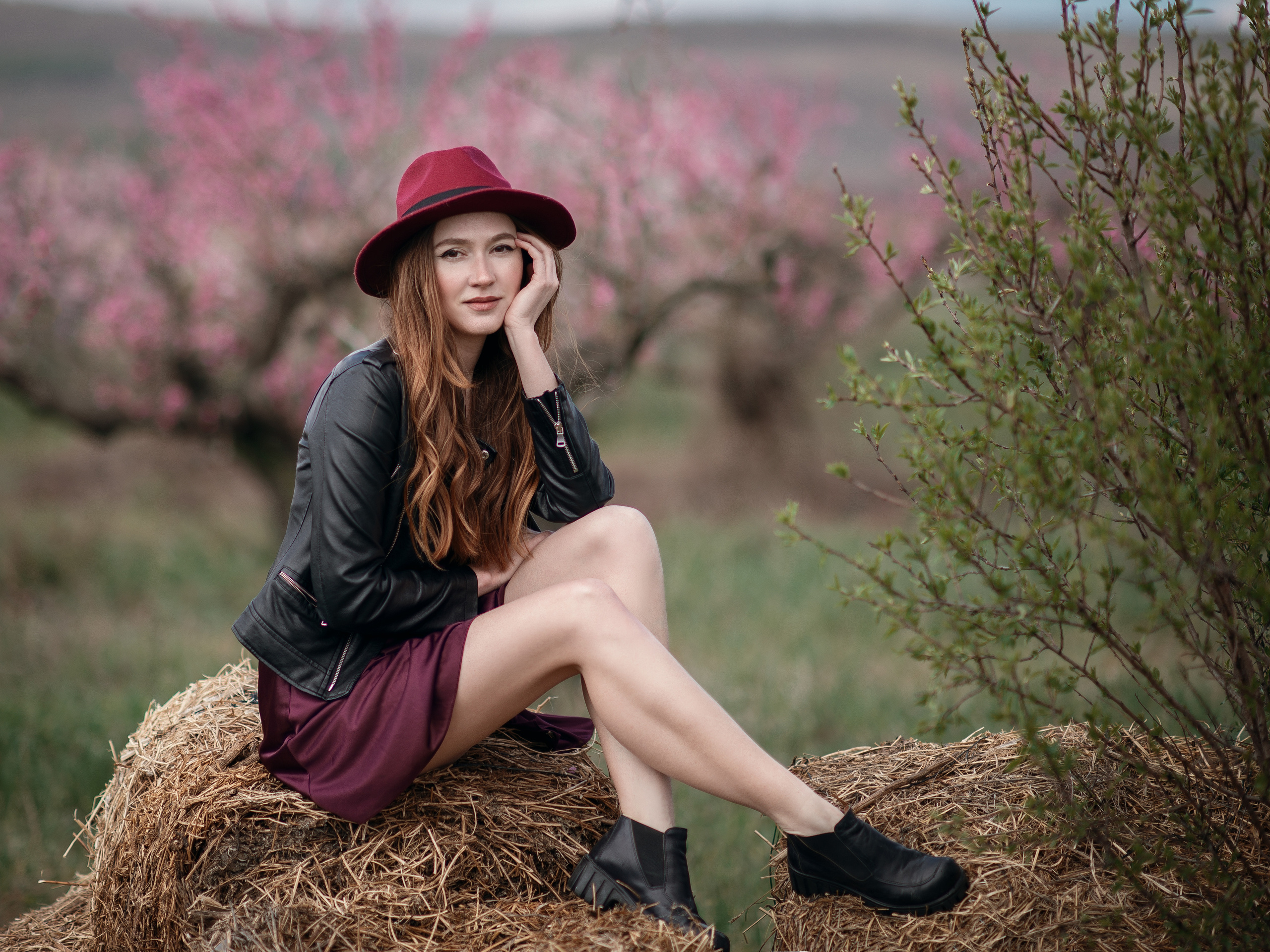 Фотосессия в персиковых садах в Севастополе. Ознакомиться с портфолио, уточнить условия и цены можно на сайте или по телефону, указанному в разделе "Контакты"