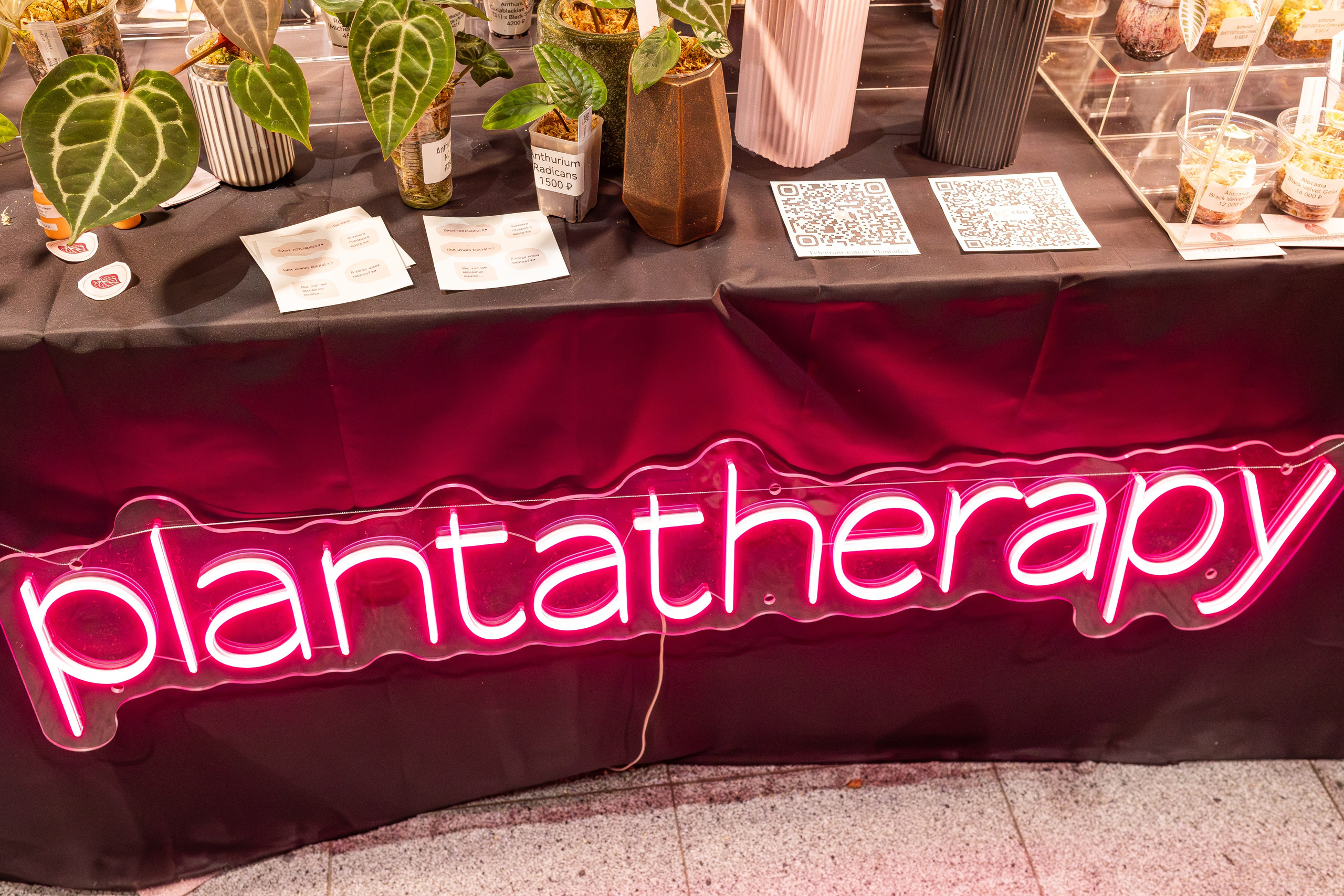 Монстериум апрель 2025. Александра Куликова фотограф, Москва