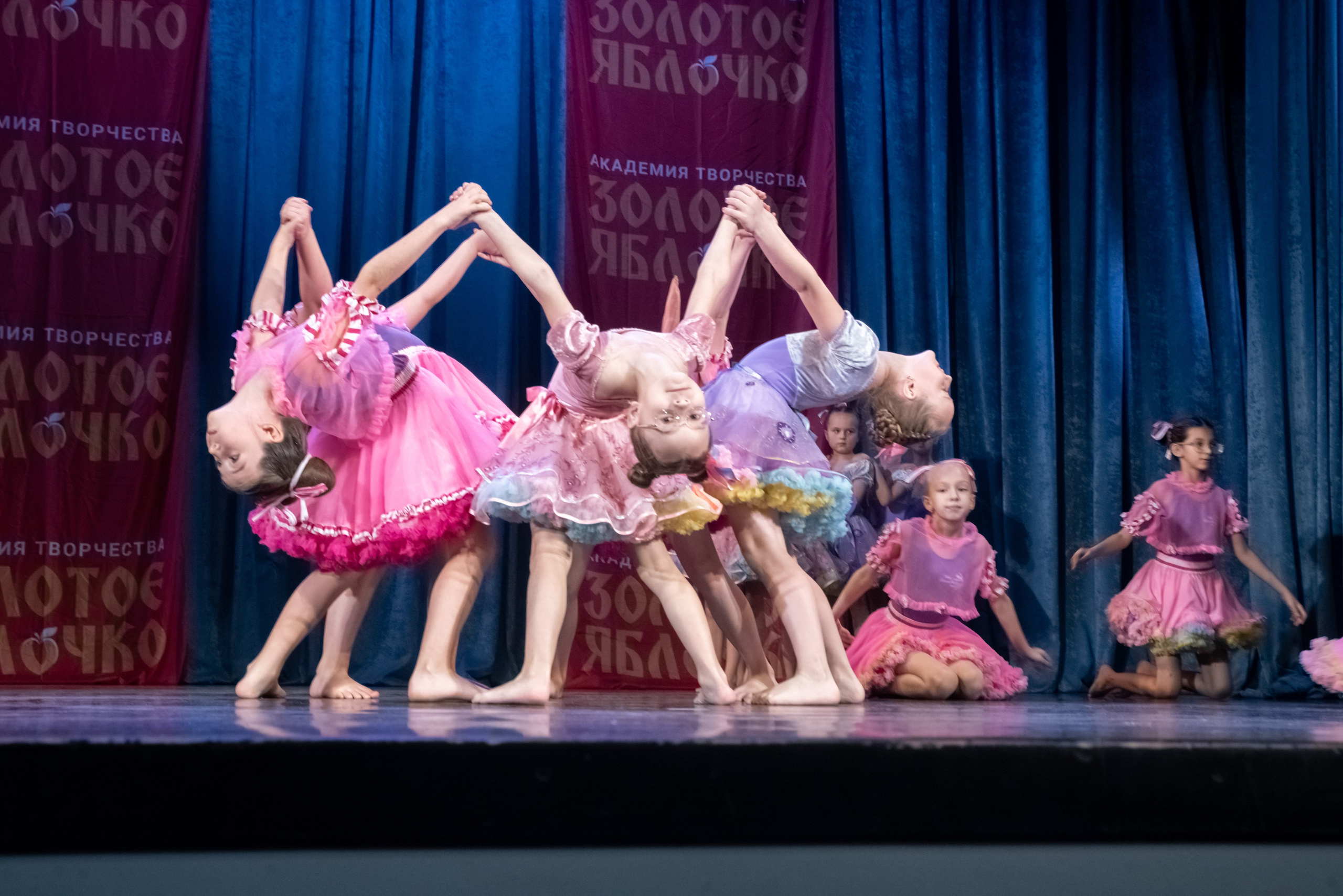 7 декабря, г. Выборг. Золотое яблочко