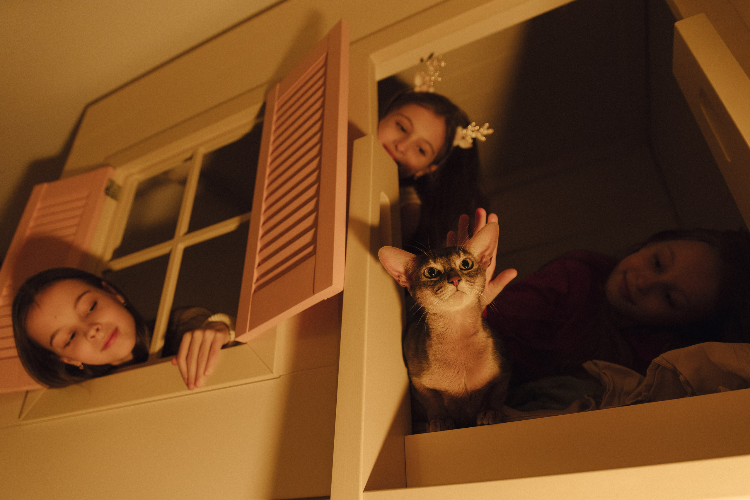 Домашний вайб. Свадебный и семейный фотограф в Красноярске Абраменко Настя