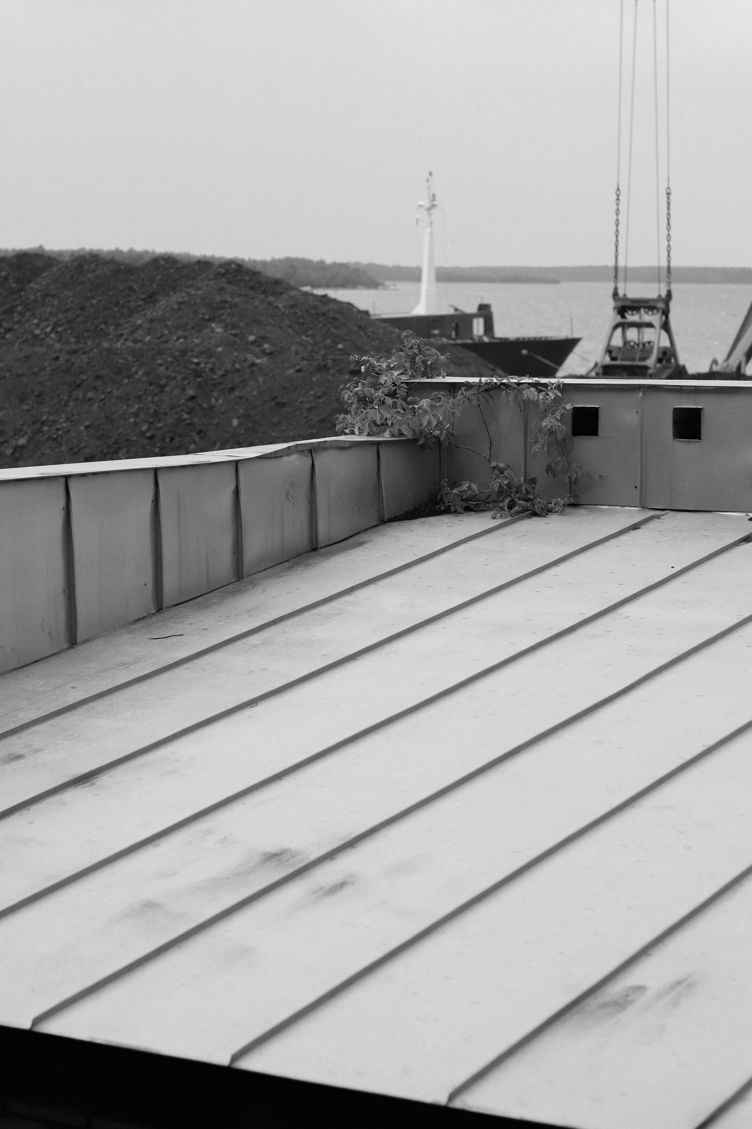 Contour. Фотограф и исследователь фотографии из Санкт-Петербурга Елизавета Веприцкая