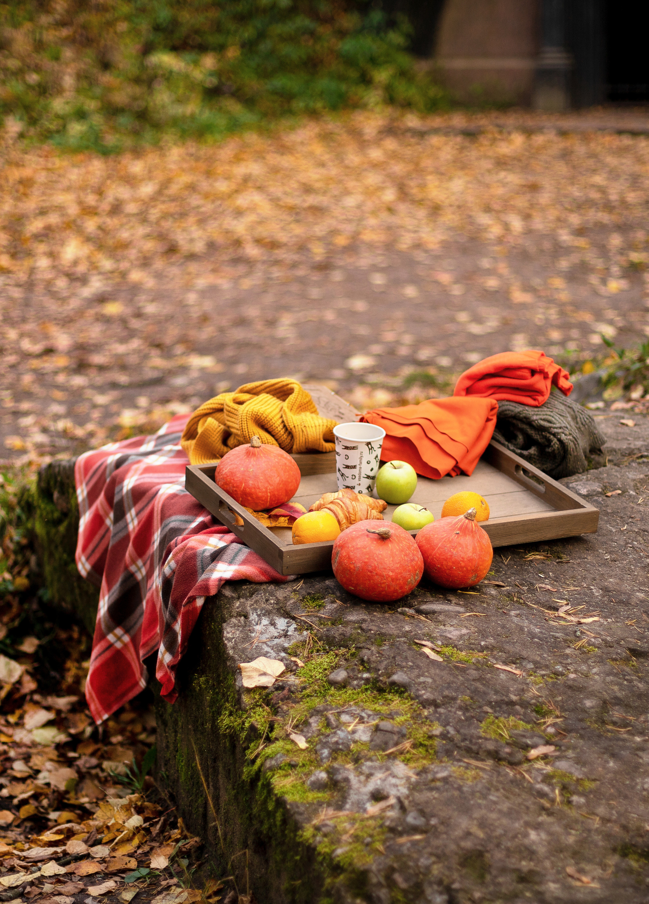 #Шуваловскийпарк #Осень #Храм. КрисТина Олейник — твой фотограф Санкт-Петербург/Москва/Омск