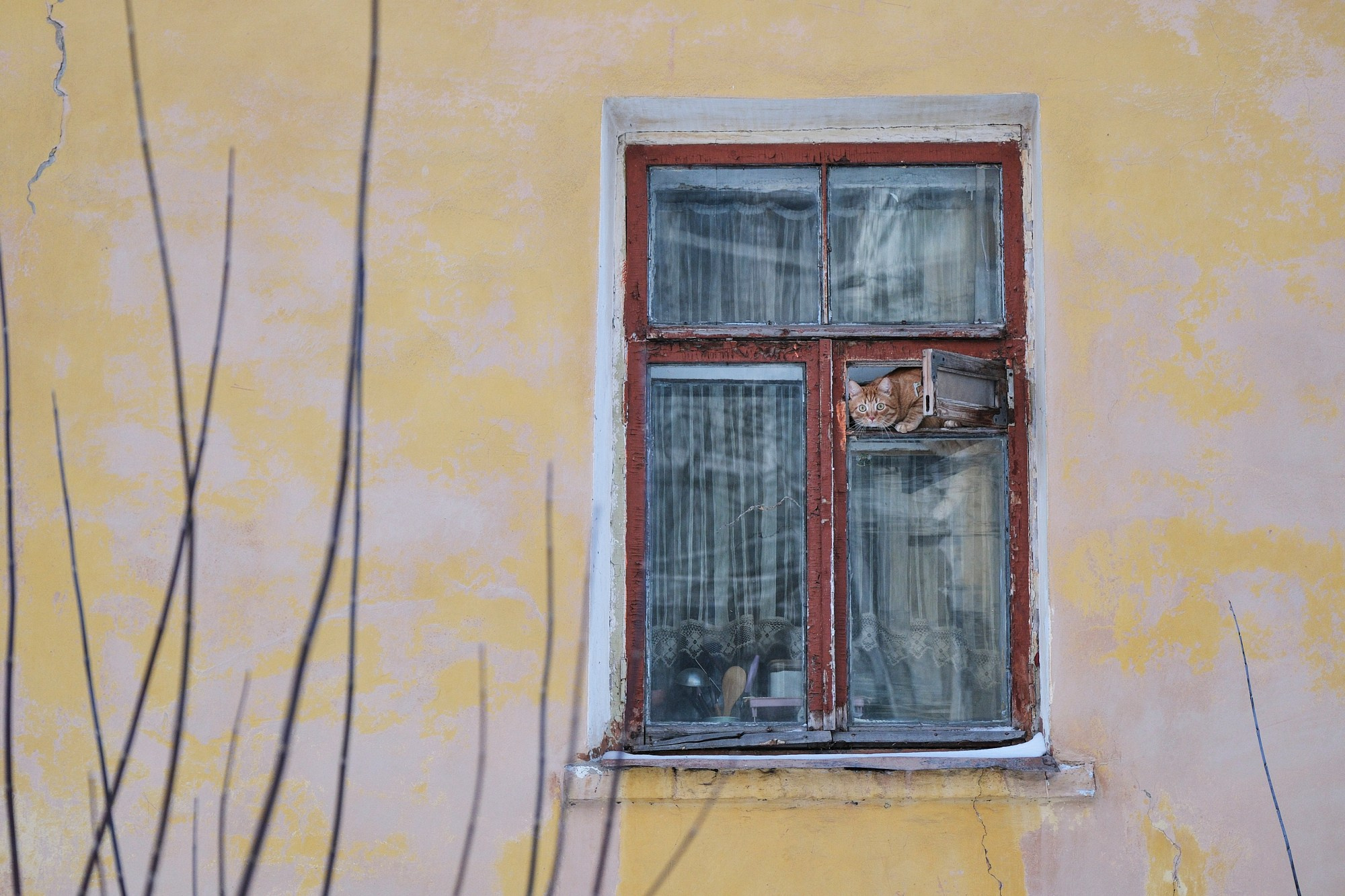 7 ноября, 2023. Никита Гольцов / РИА Томск.