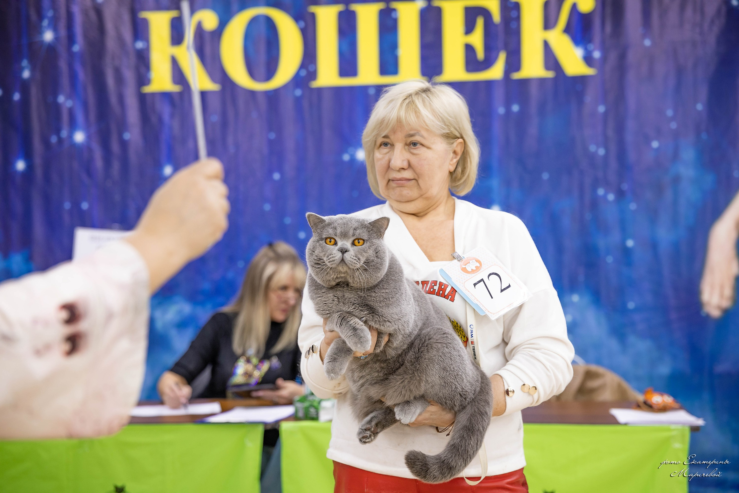 11–12 апреля — Интершоу — «Звездная Галактика Доброго Кота». Работаю со стендом. Фотограф-анималист в Омске Екатерина Маричева