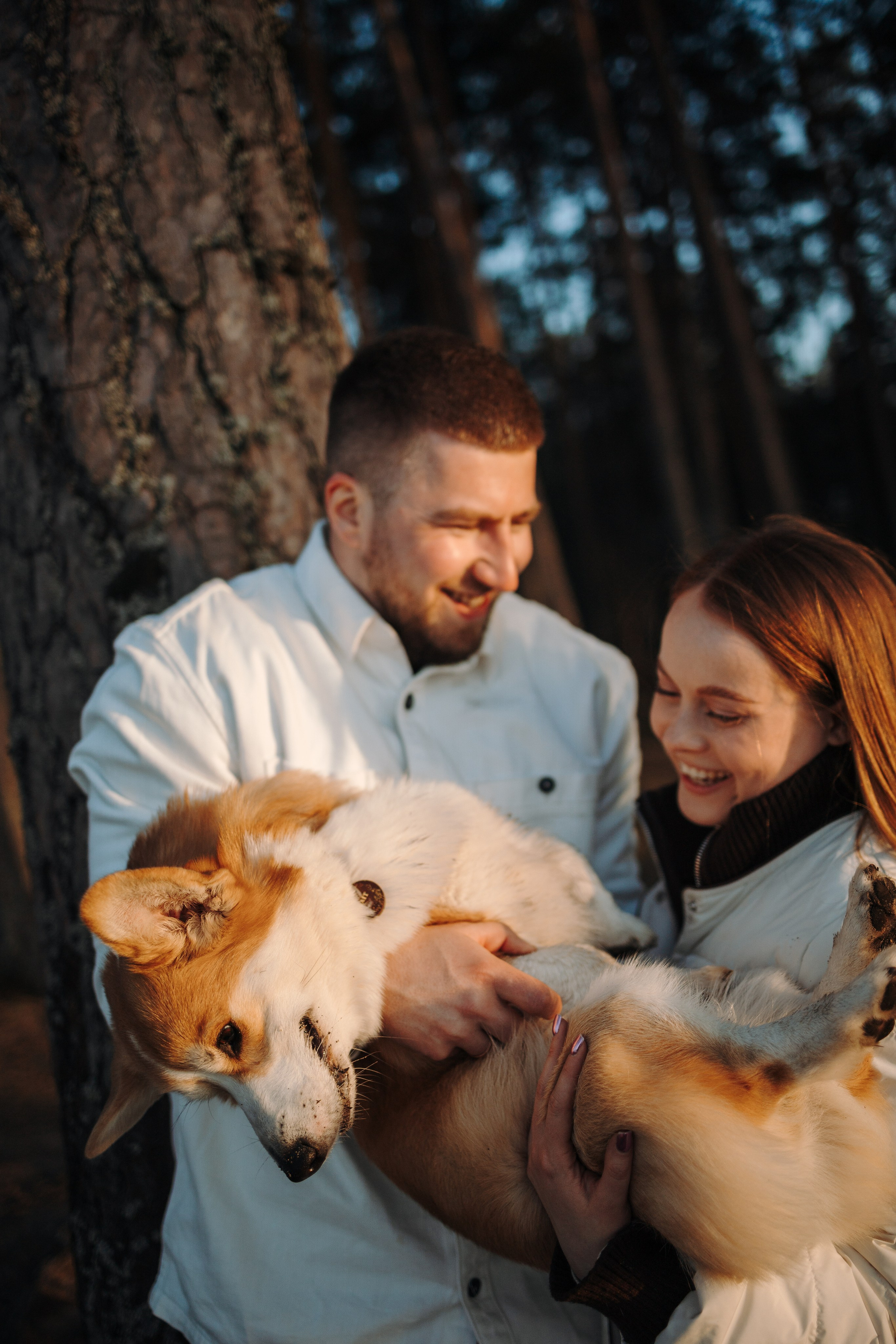 Найт и его семья. Фотограф — Анималист | Санкт-Петербург