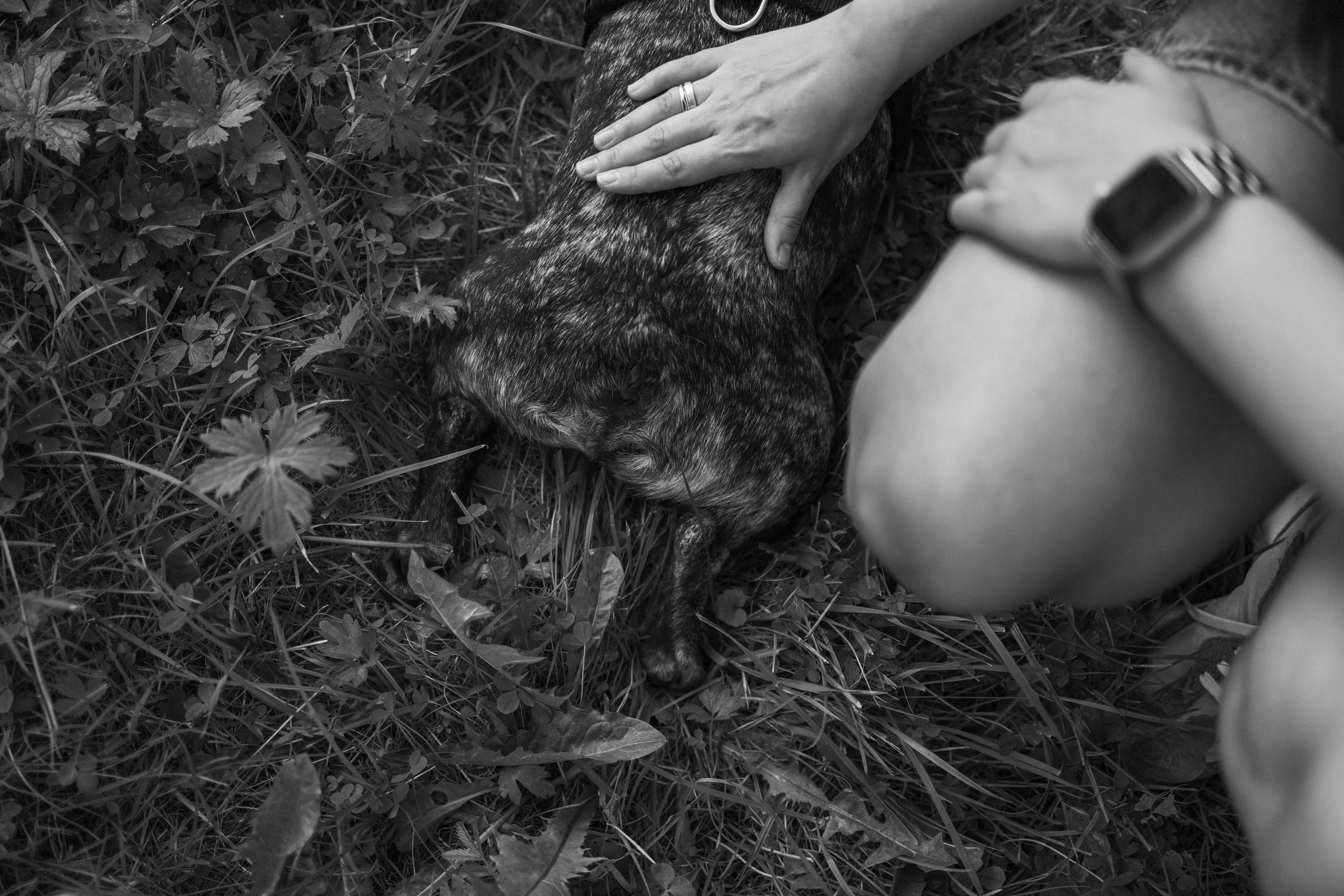 Олеся и Луи. Фотограф — Анималист | Санкт-Петербург