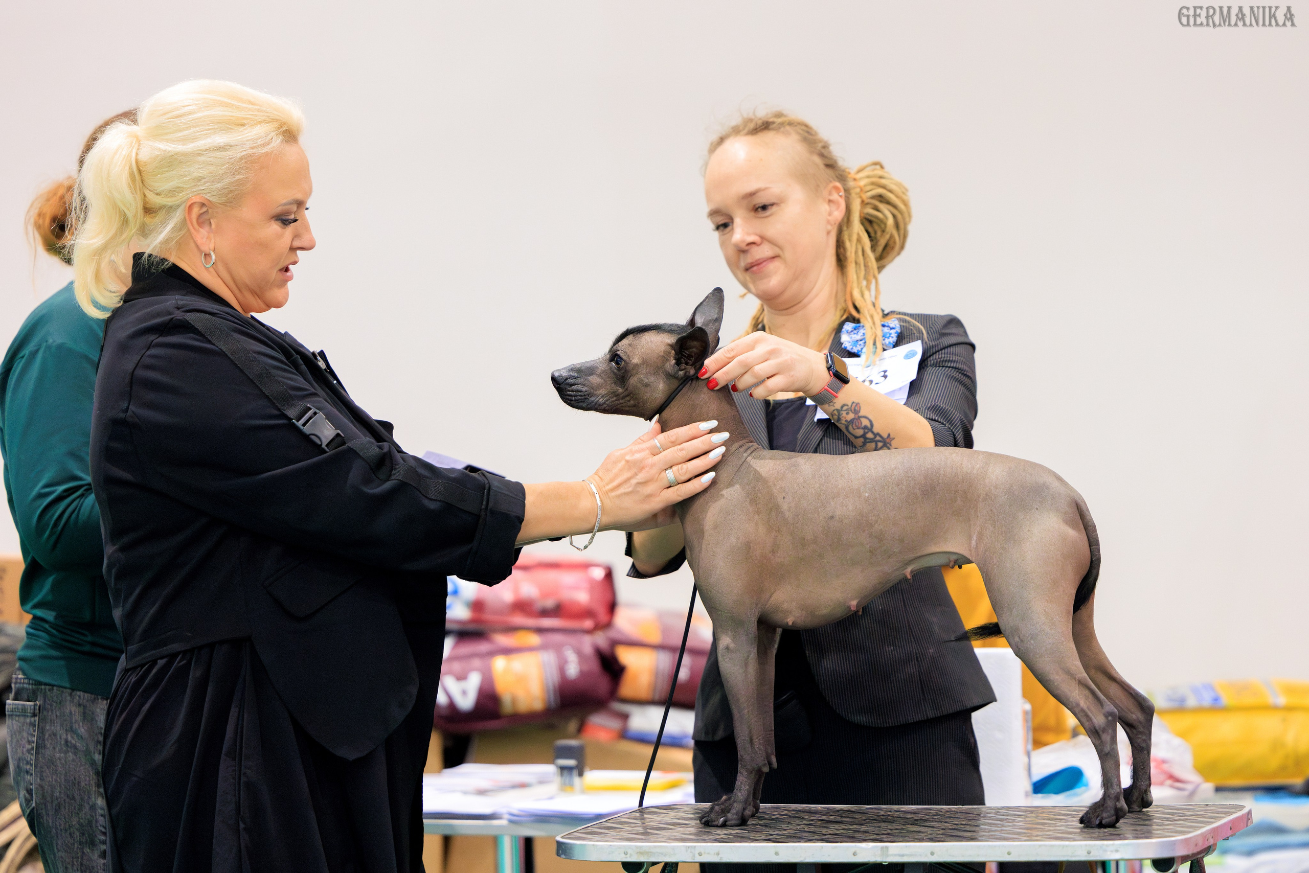 Минск 24-25.02.2024. Фотограф-анималист Юлия Германика