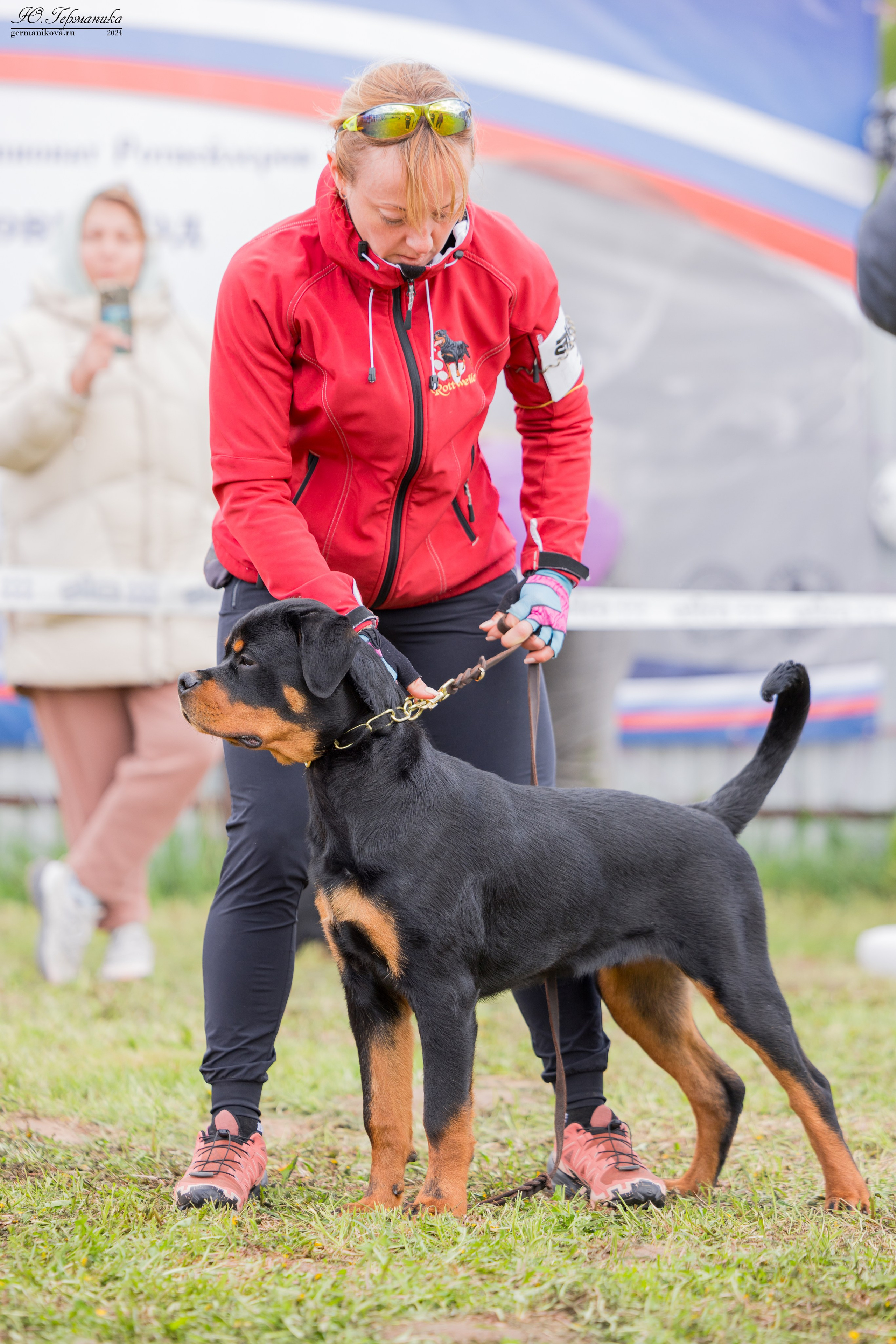 Нижний Новгород 11-12.05.2024 моно ротвейлеров. Фотограф-анималист Юлия Германика