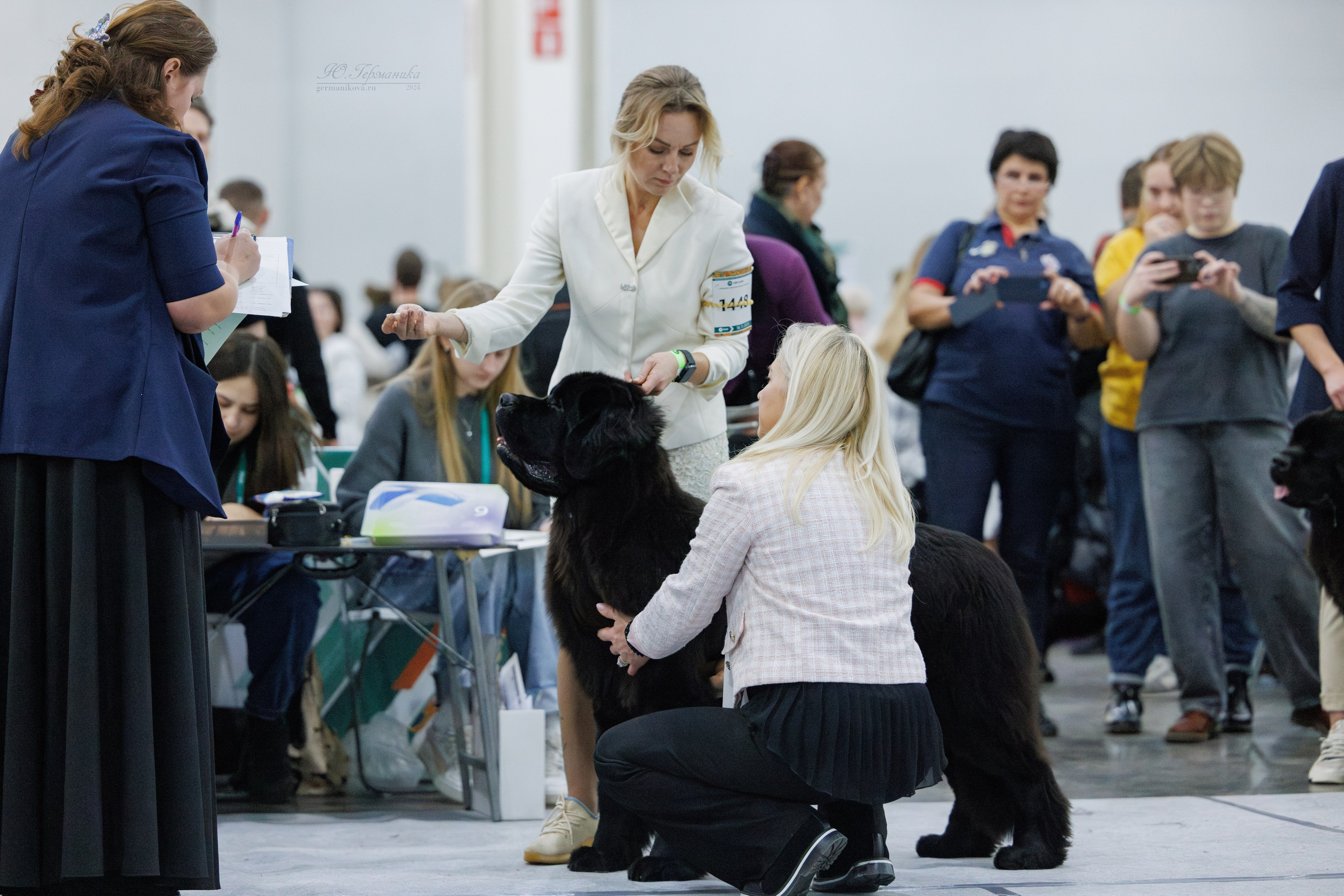 Евразия 16-17.11.2024. Фотограф-анималист Юлия Германика