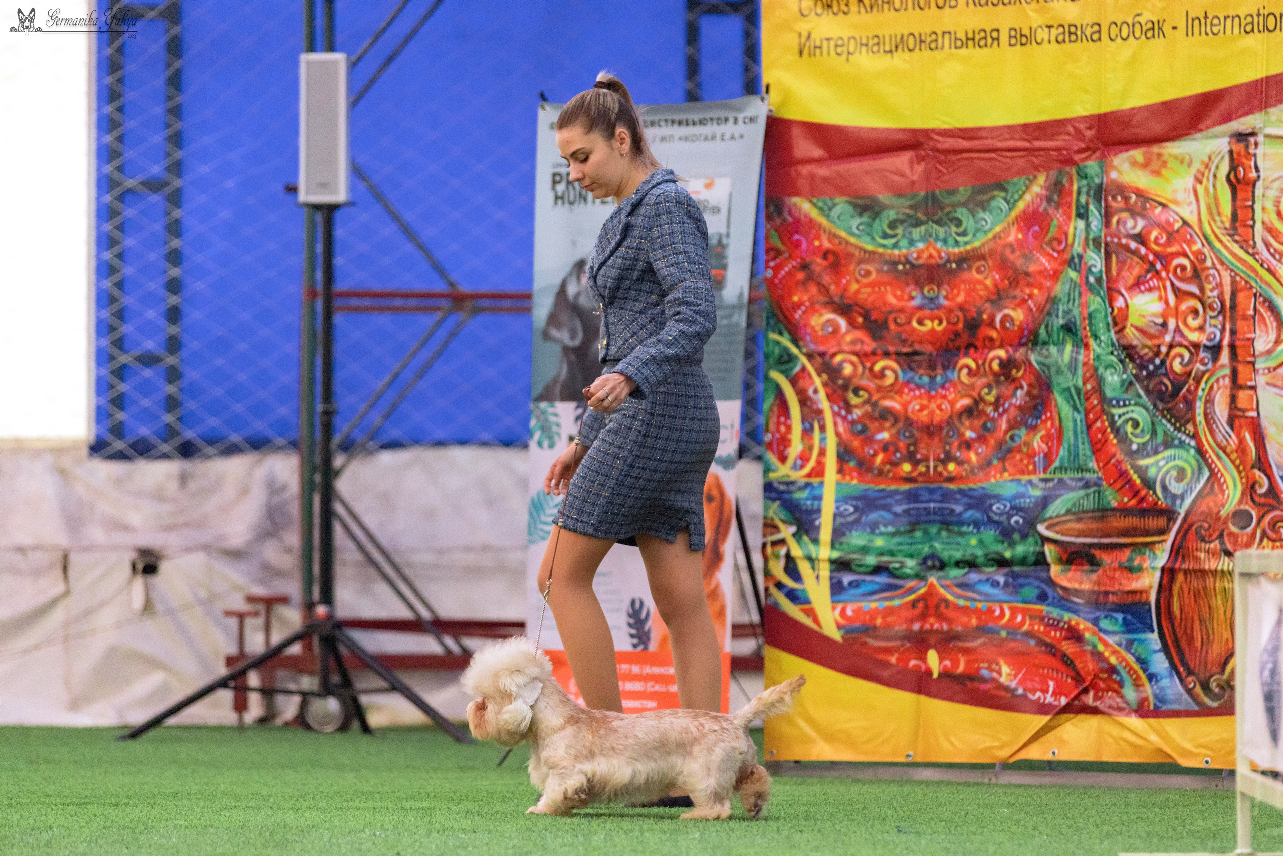 Ташкент 6-8.10.2023 + Алматы 14-15.10.2023. Фотограф-анималист Юлия Германика