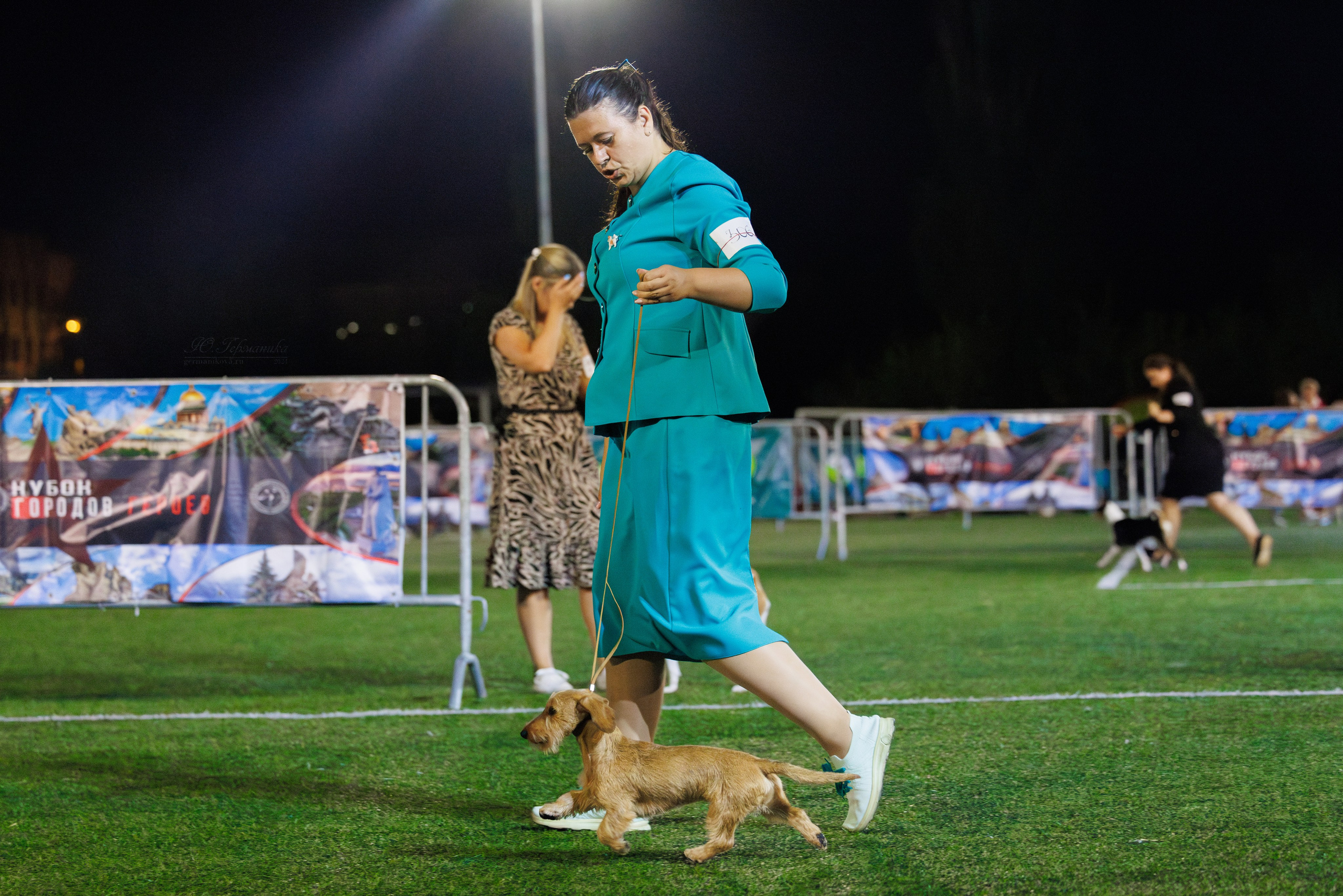 Волгоград 2-4.08.2024. Фотограф-анималист Юлия Германика