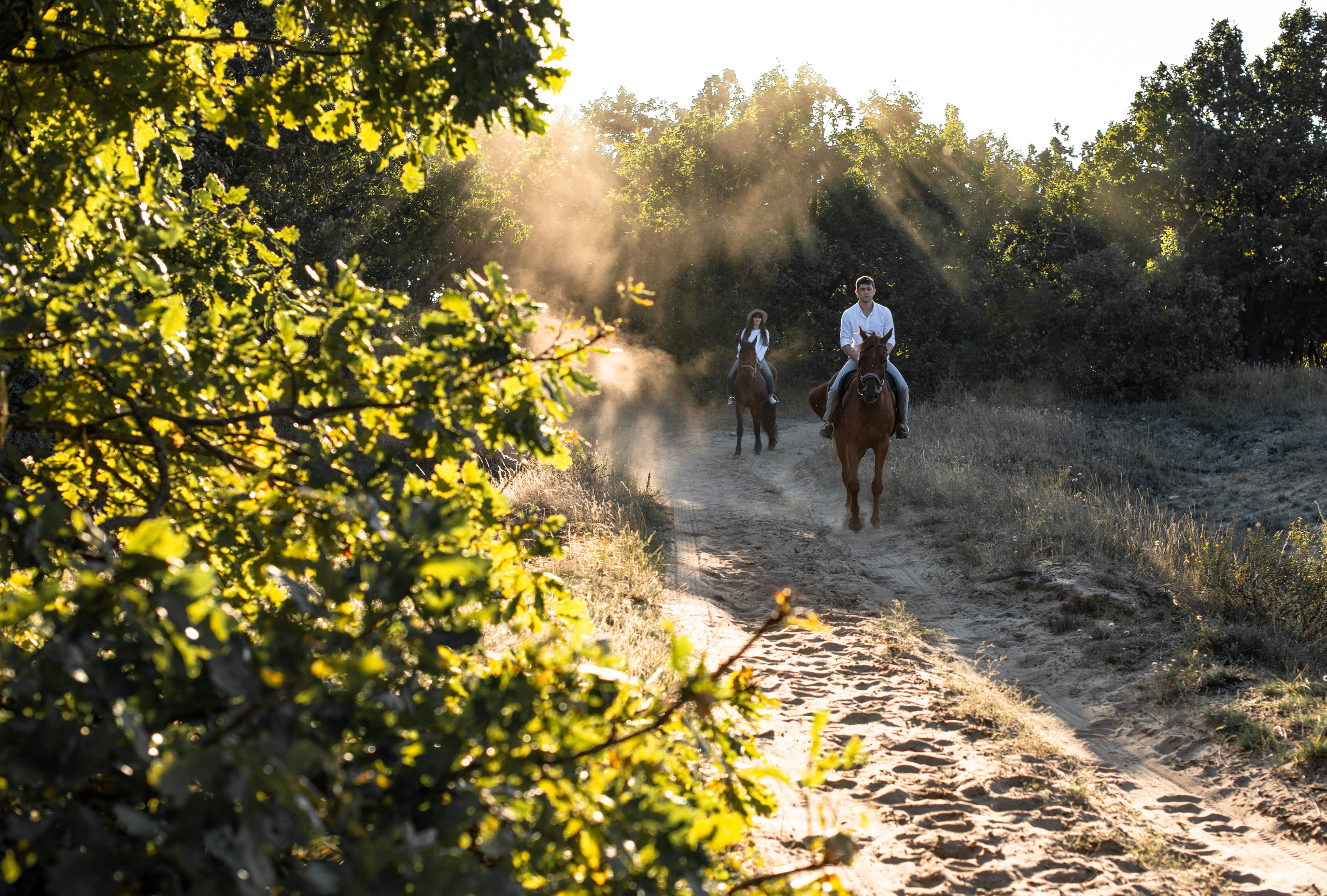 Прогулка Василия и Наташи. Конный фотограф в Саратове Юлия Иванова