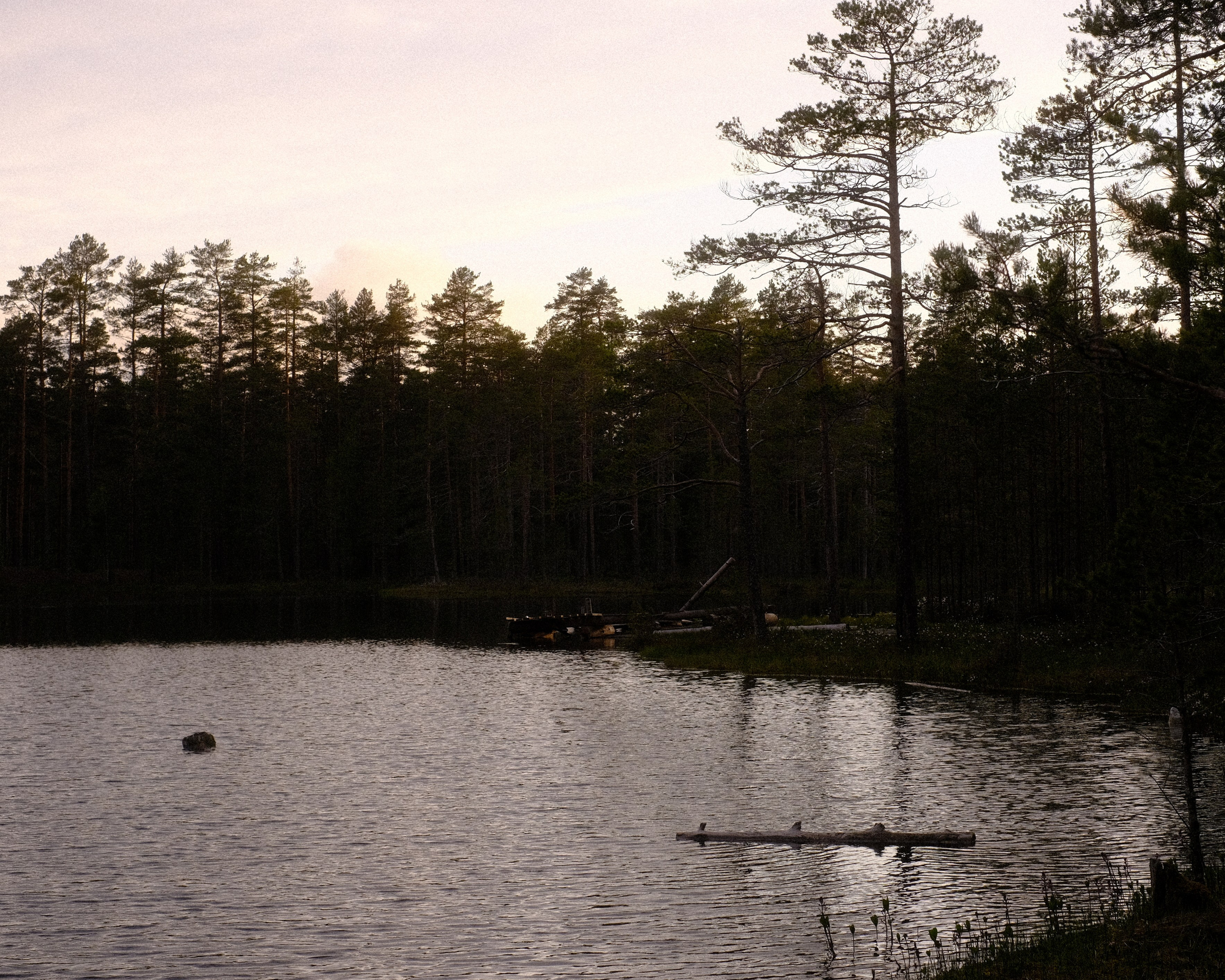 Орехово | май 2025