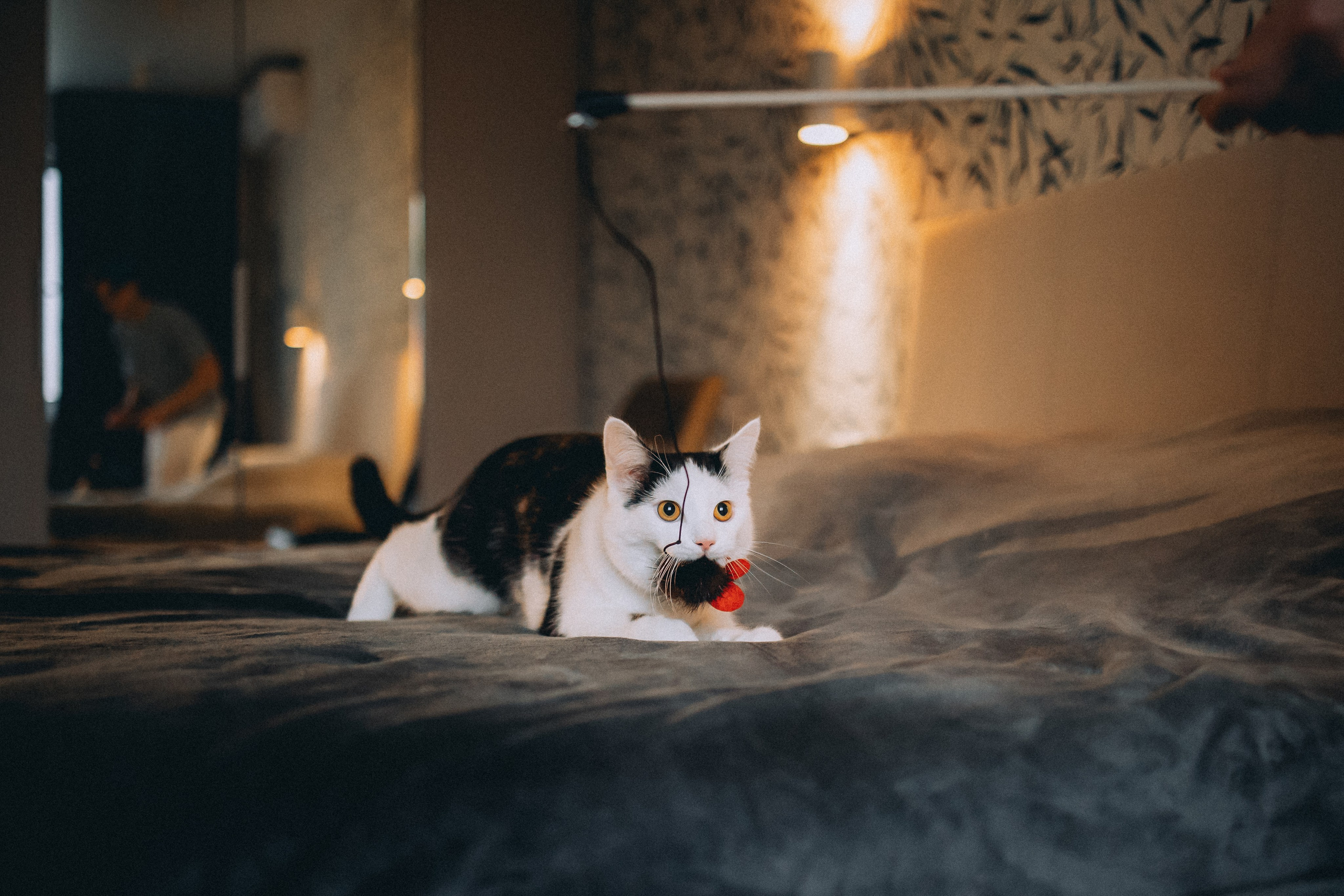 Рыся, Кепа и их семья