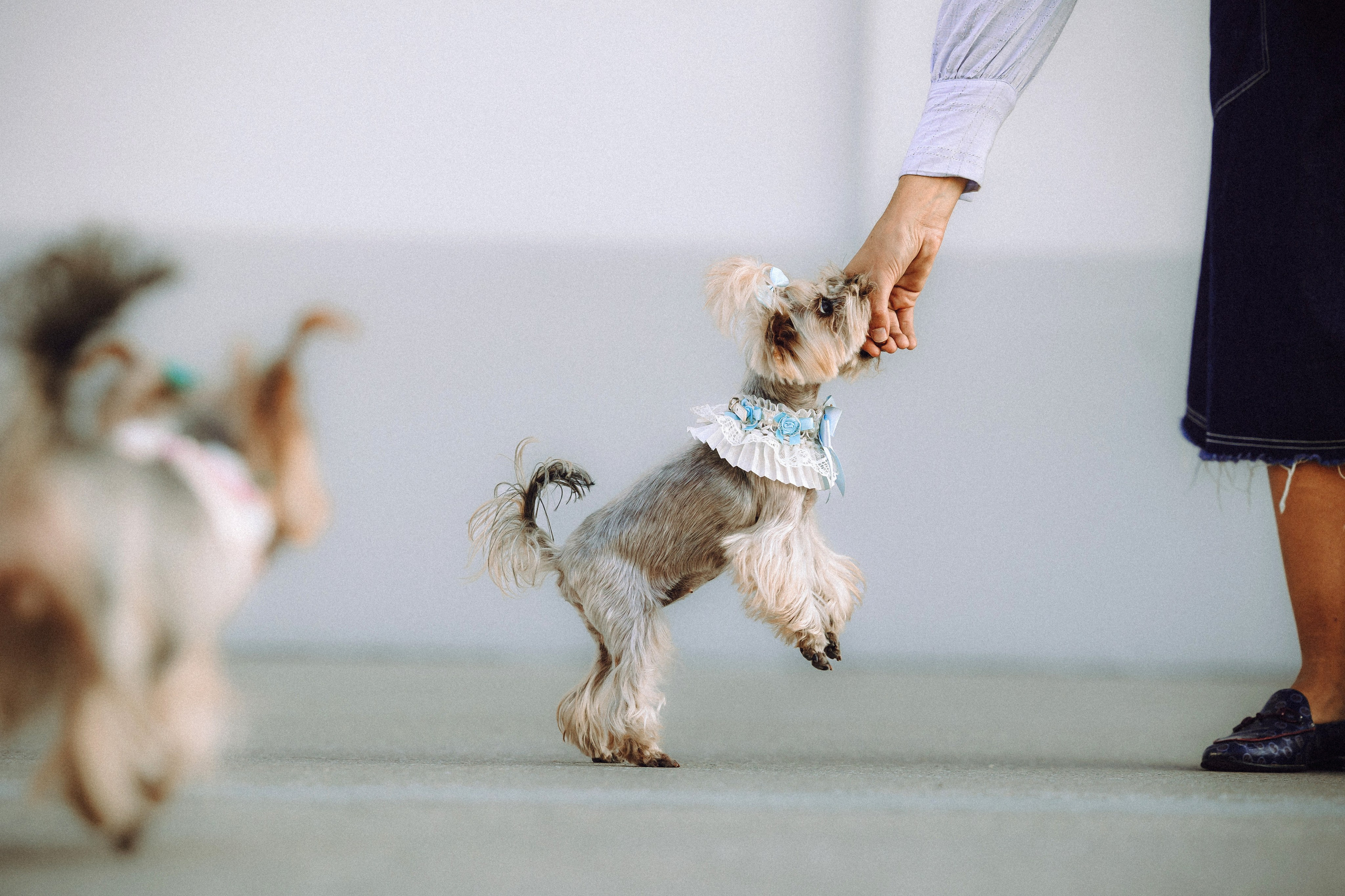 Дженни, Оливия и их семья