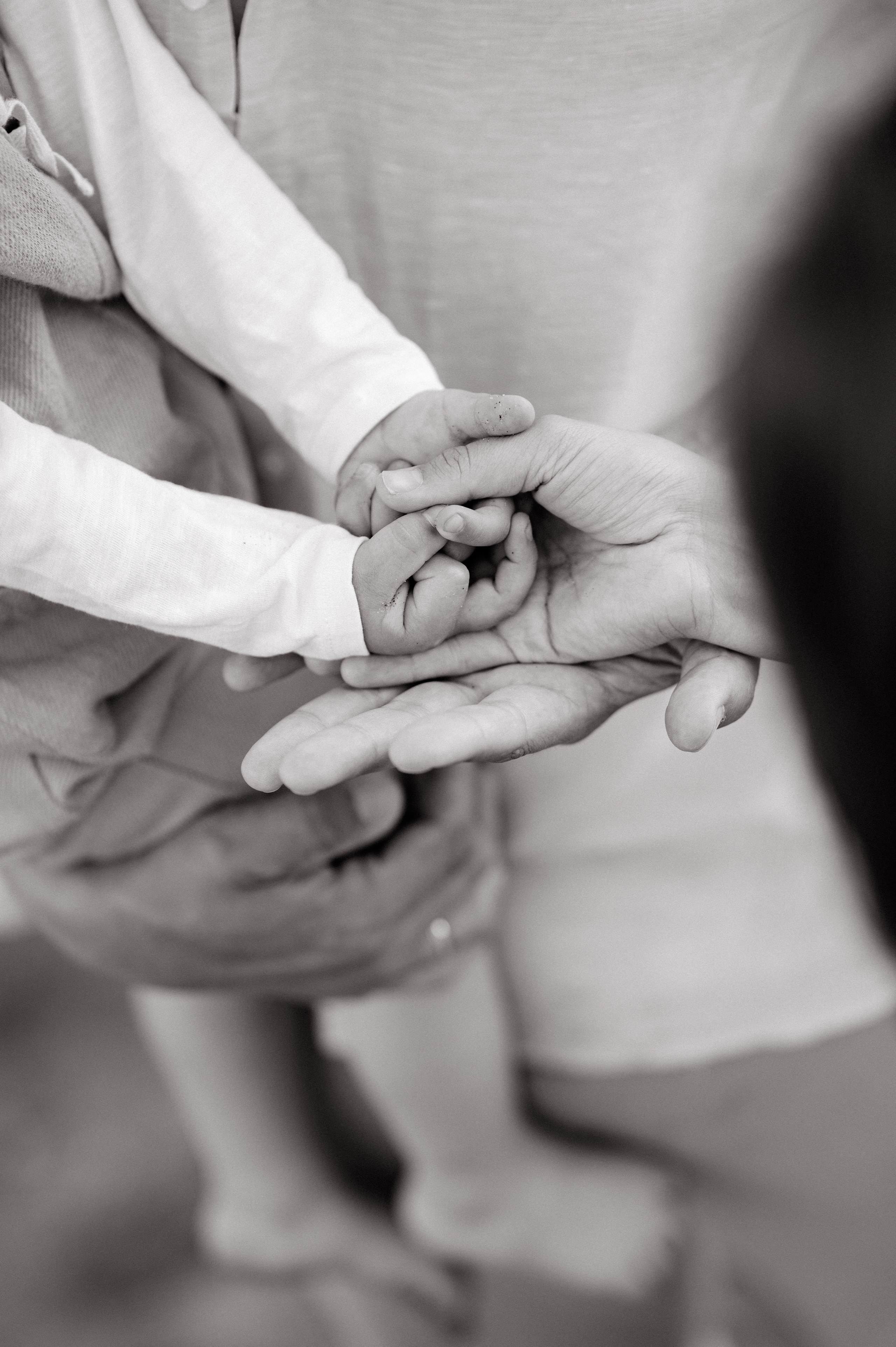 KIBUS. Свадебный и семейный фотограф Никита Корохов