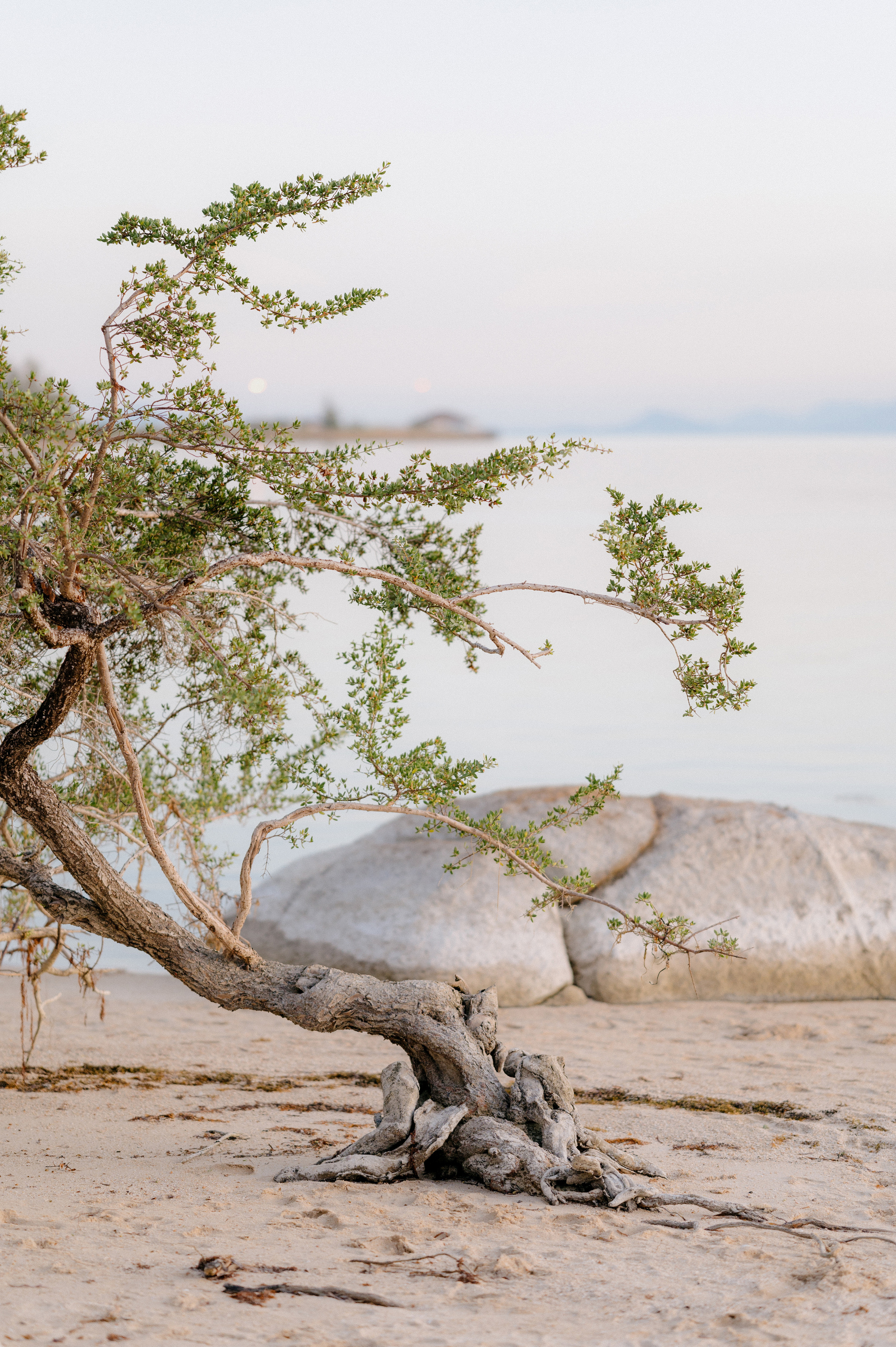 ANNA. Свадебный и семейный фотограф Никита Корохов
