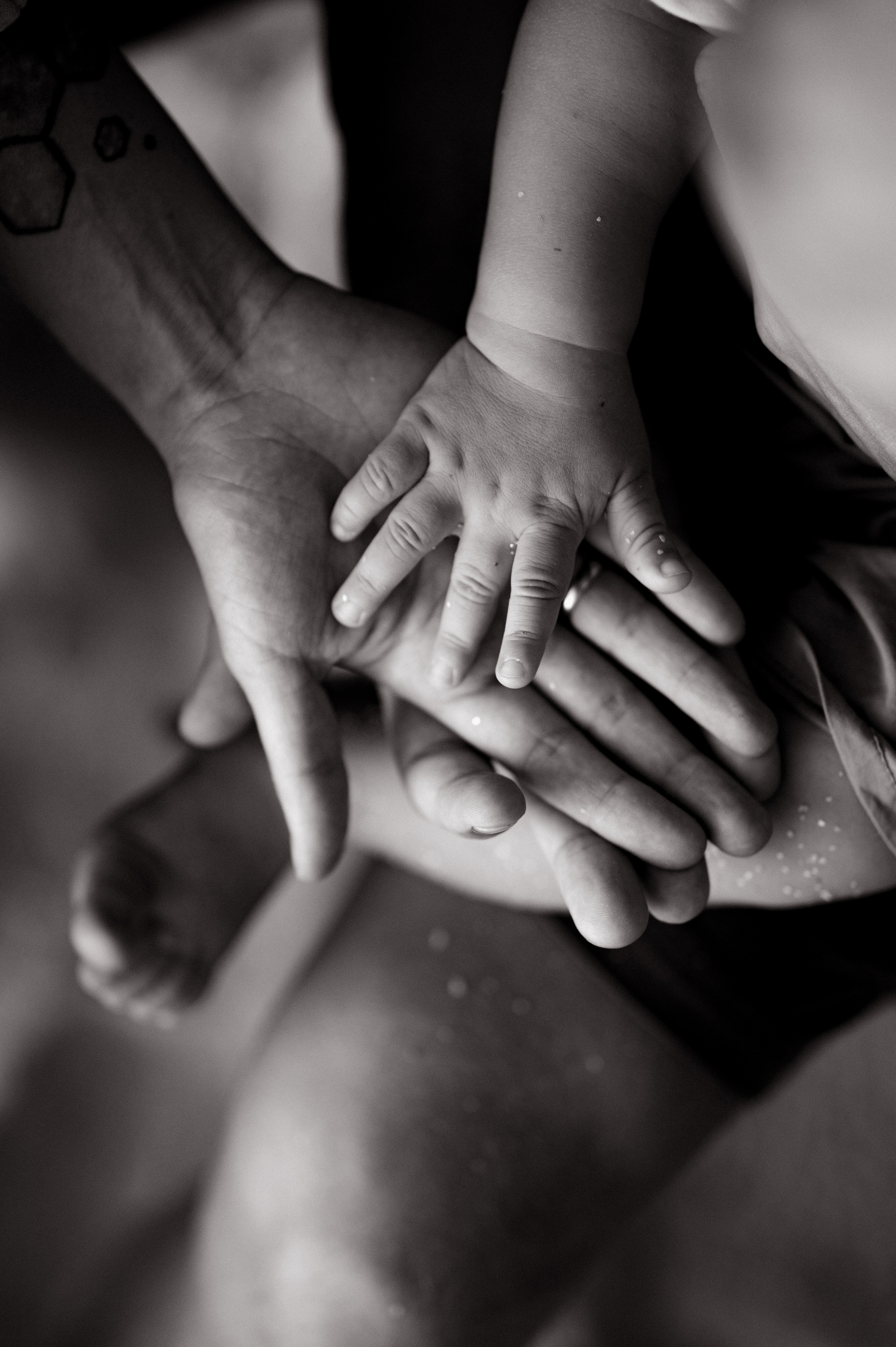 KOVALENKO. Свадебный и семейный фотограф Никита Корохов