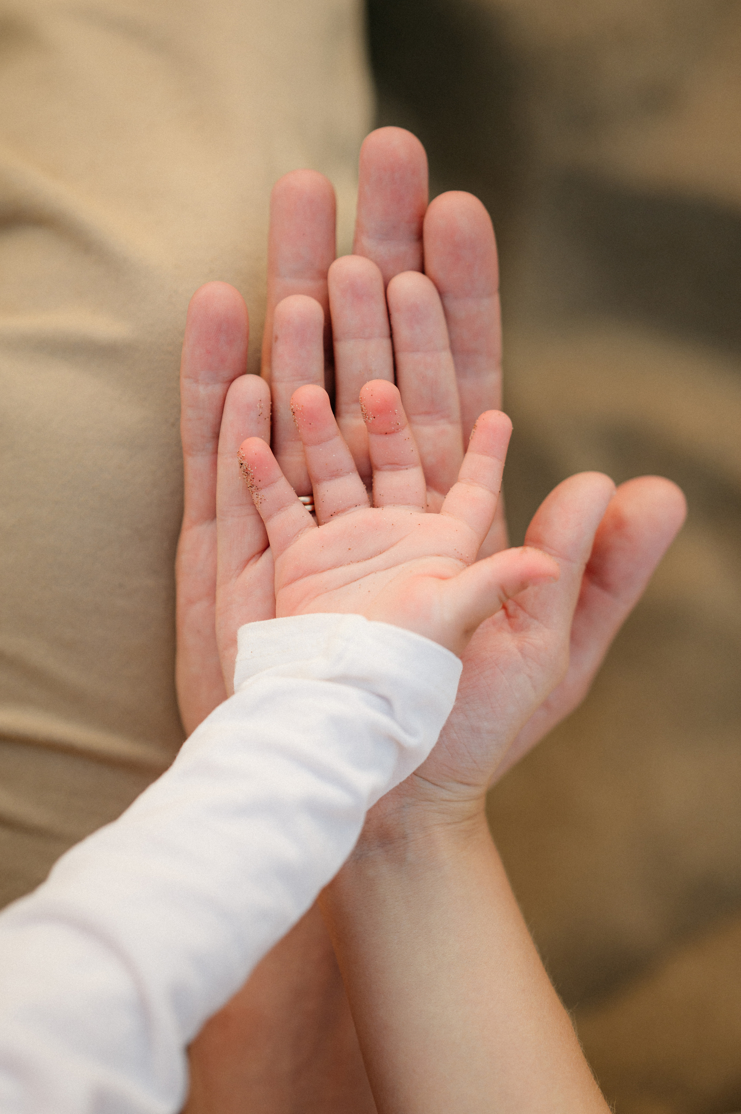 KIBUS. Свадебный и семейный фотограф Никита Корохов